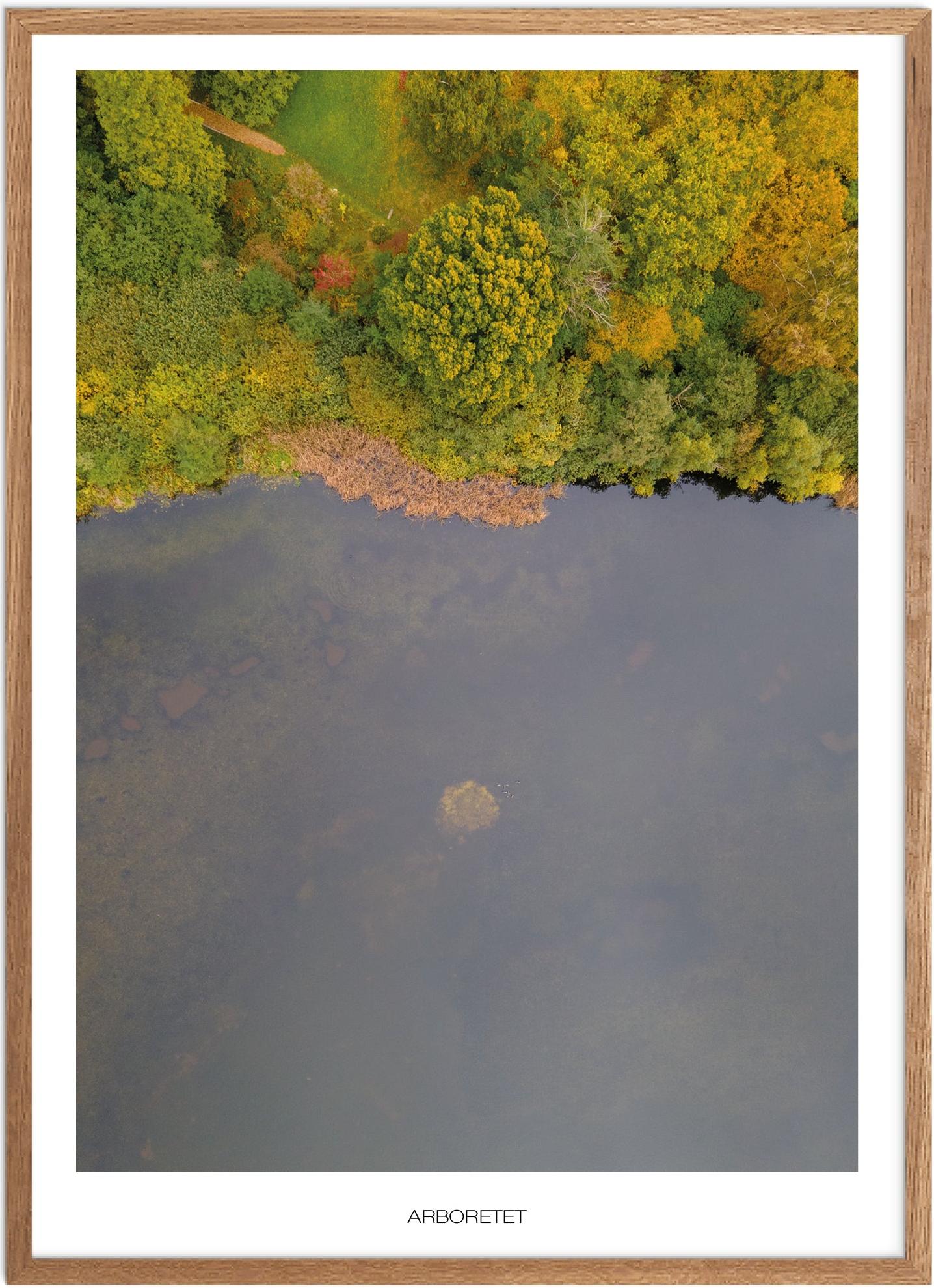 Plakat af Arboretet i Nordsjælland - Naturplakat
