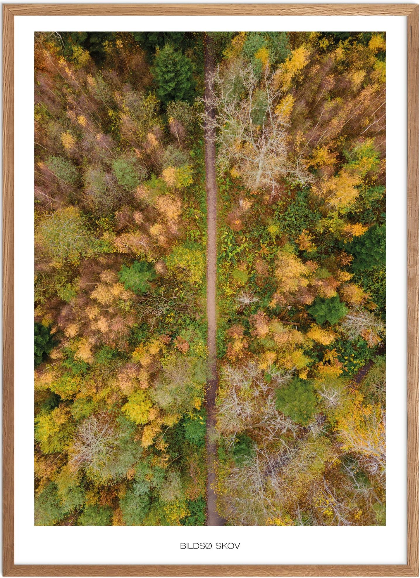 Plakat af Bildsø Skov | Naturplakat fra Vestsjælland