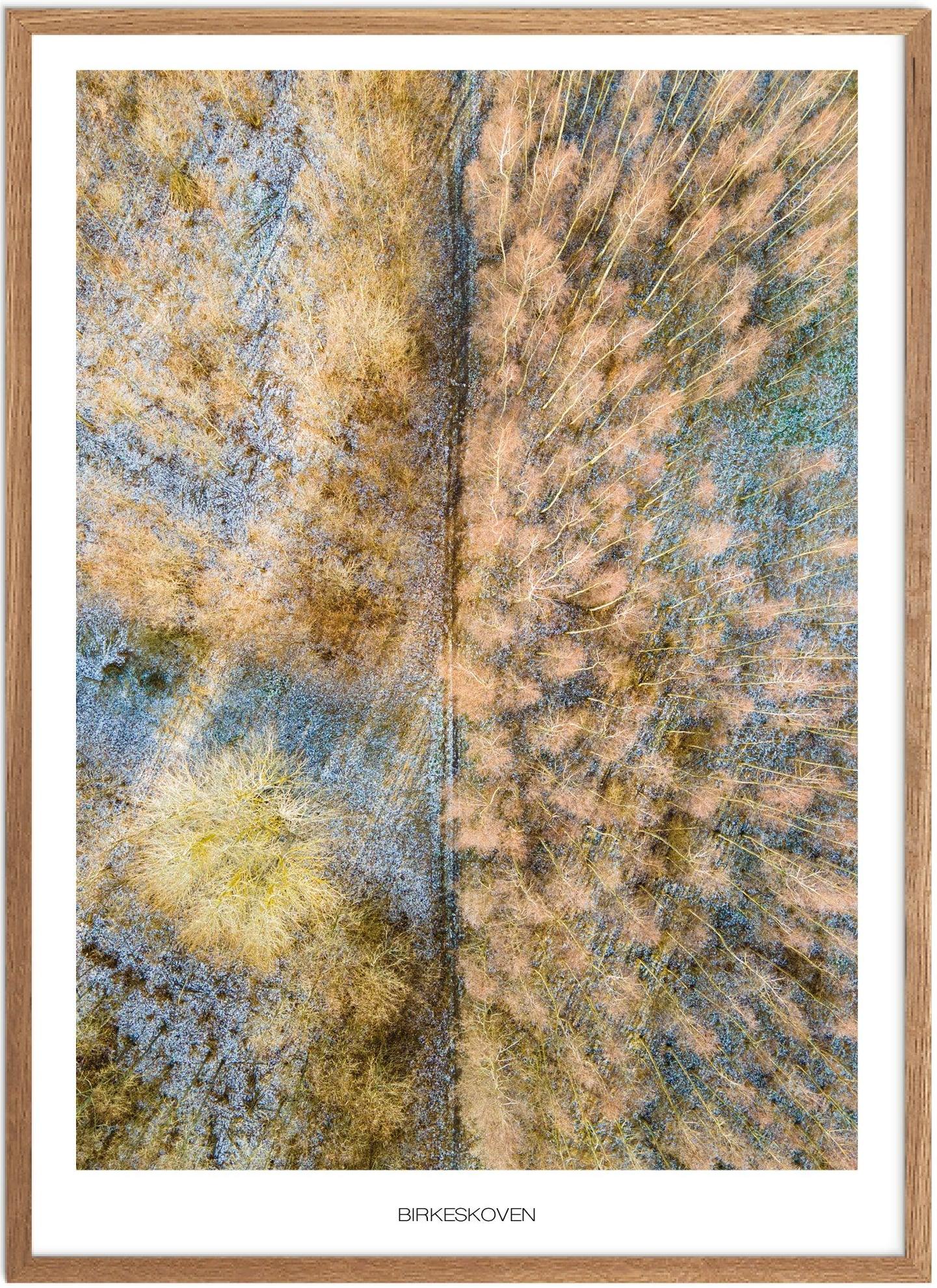 Birkeskoven No. 1 Plakat | Naturplakat til hjemmet
