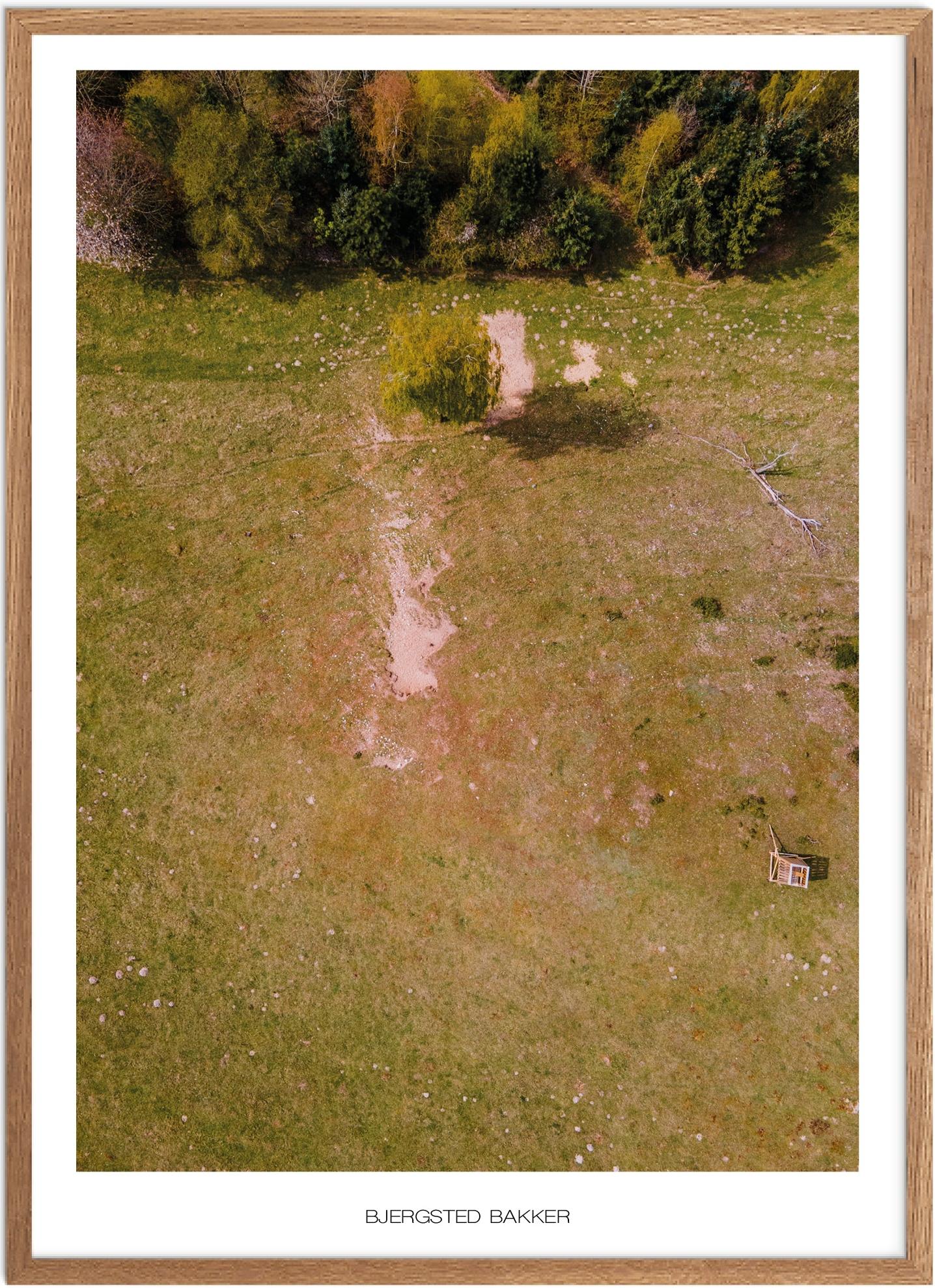 Plakat af Bjergsted Bakker | Naturplakat fra Vestsjælland