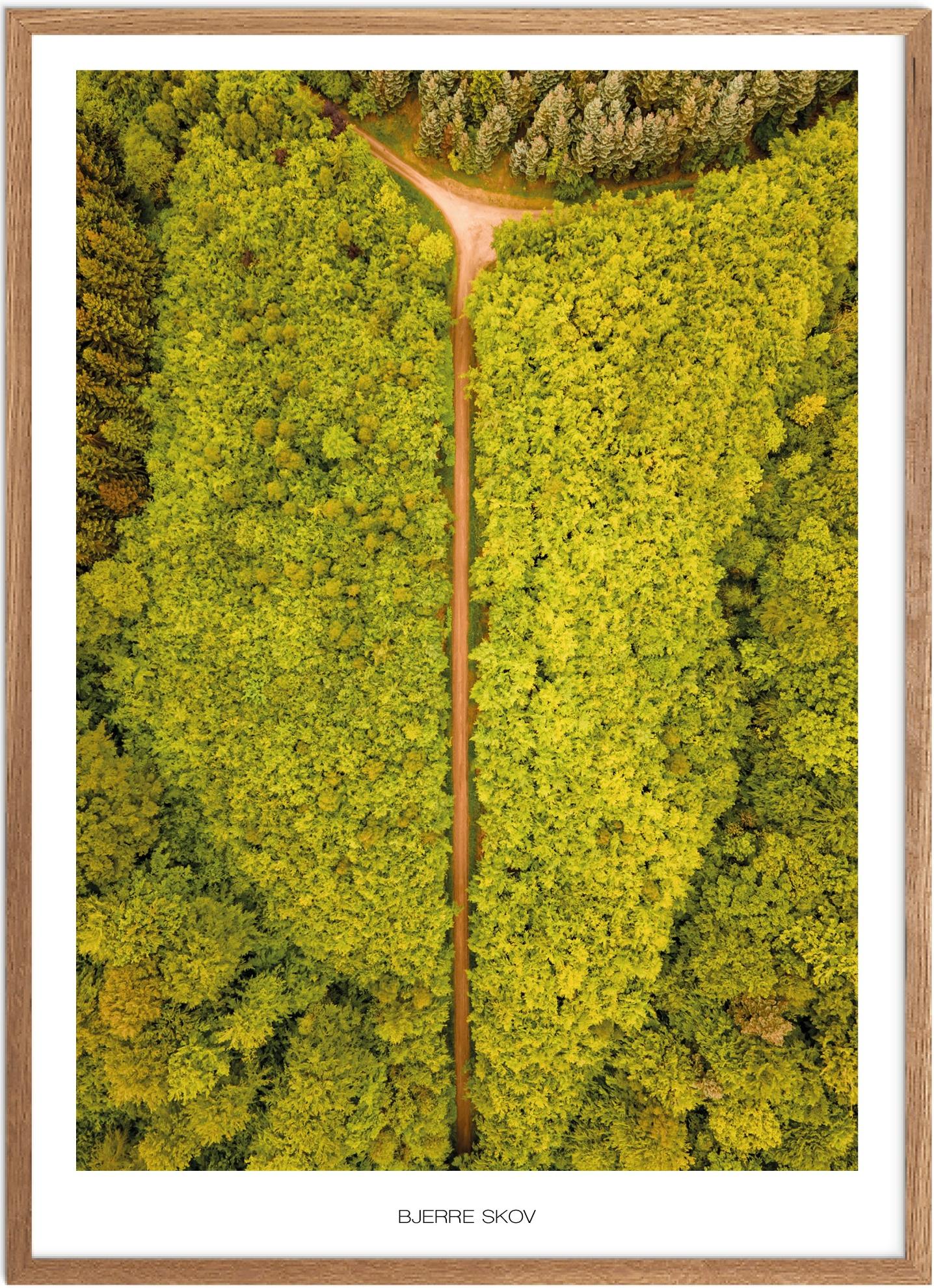 Bjerre Skov Naturplakat - Smuk Plakat fra Østjylland