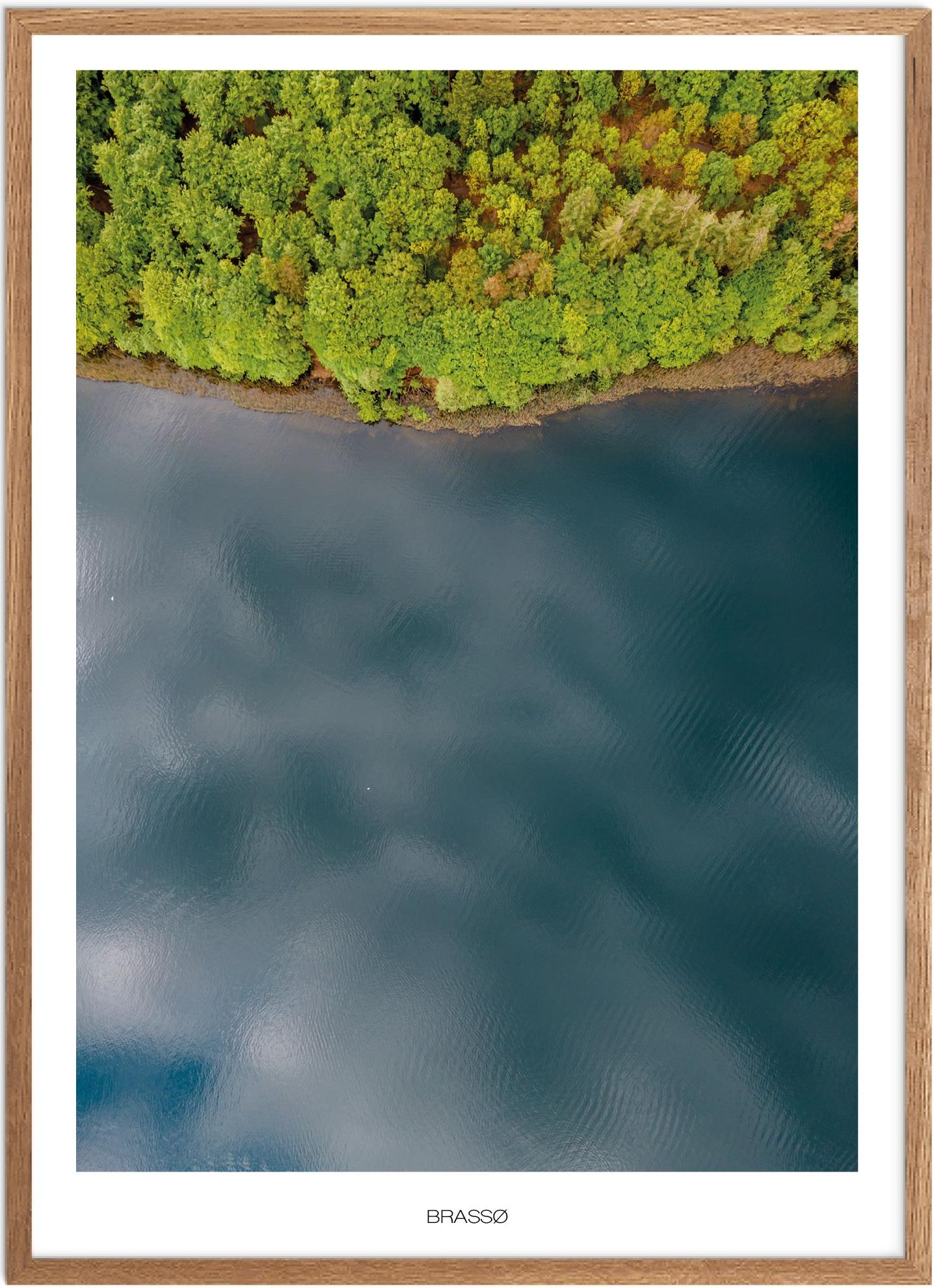 Plakat af Brassø | Smuk naturplakat fra Østjylland