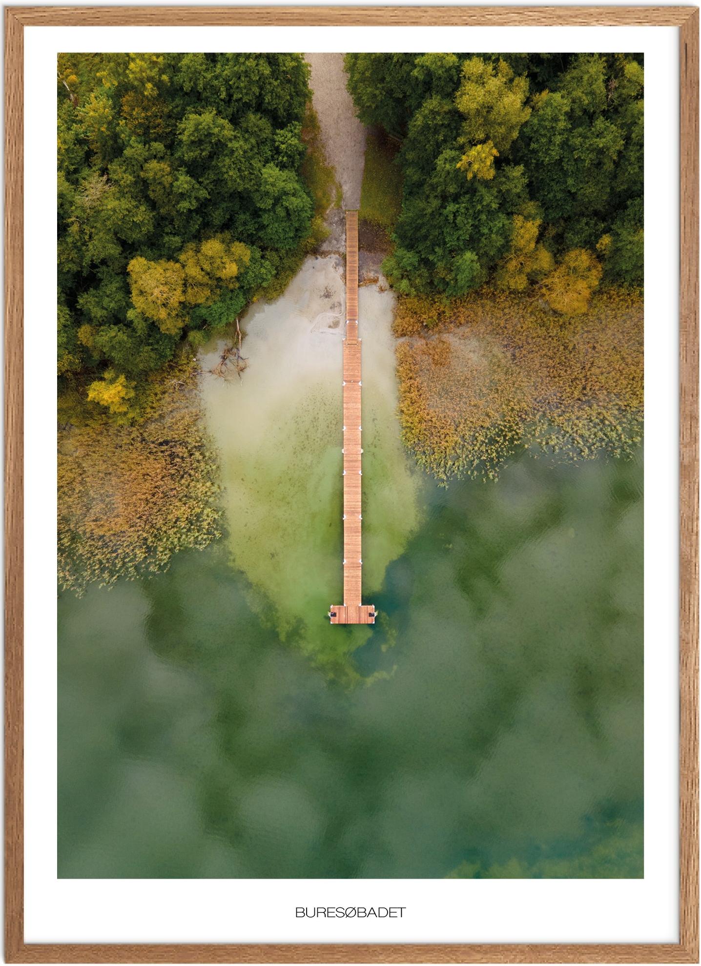 Plakat af Buresø | Naturplakat fra Nordsjælland