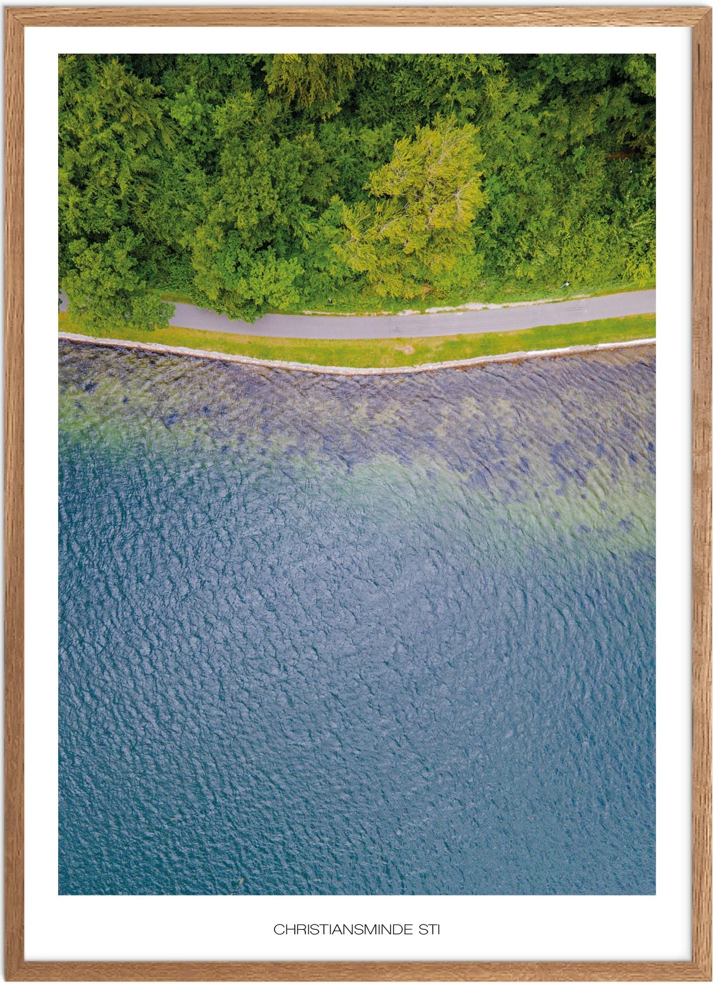 Plakat af Christiansminde Sti | Naturplakat fra Fyn