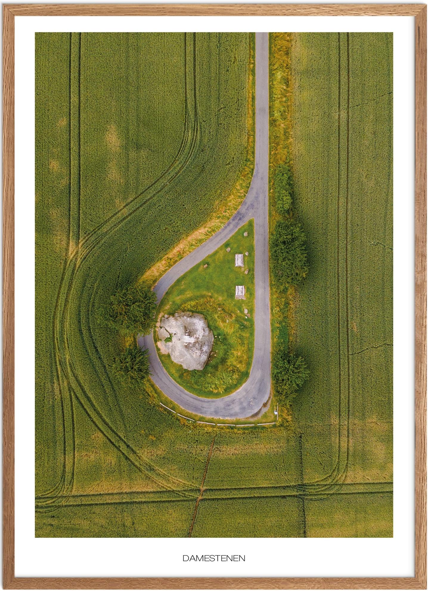 Plakat af Damestenen | Naturmotiv fra Fyns smukke landskab