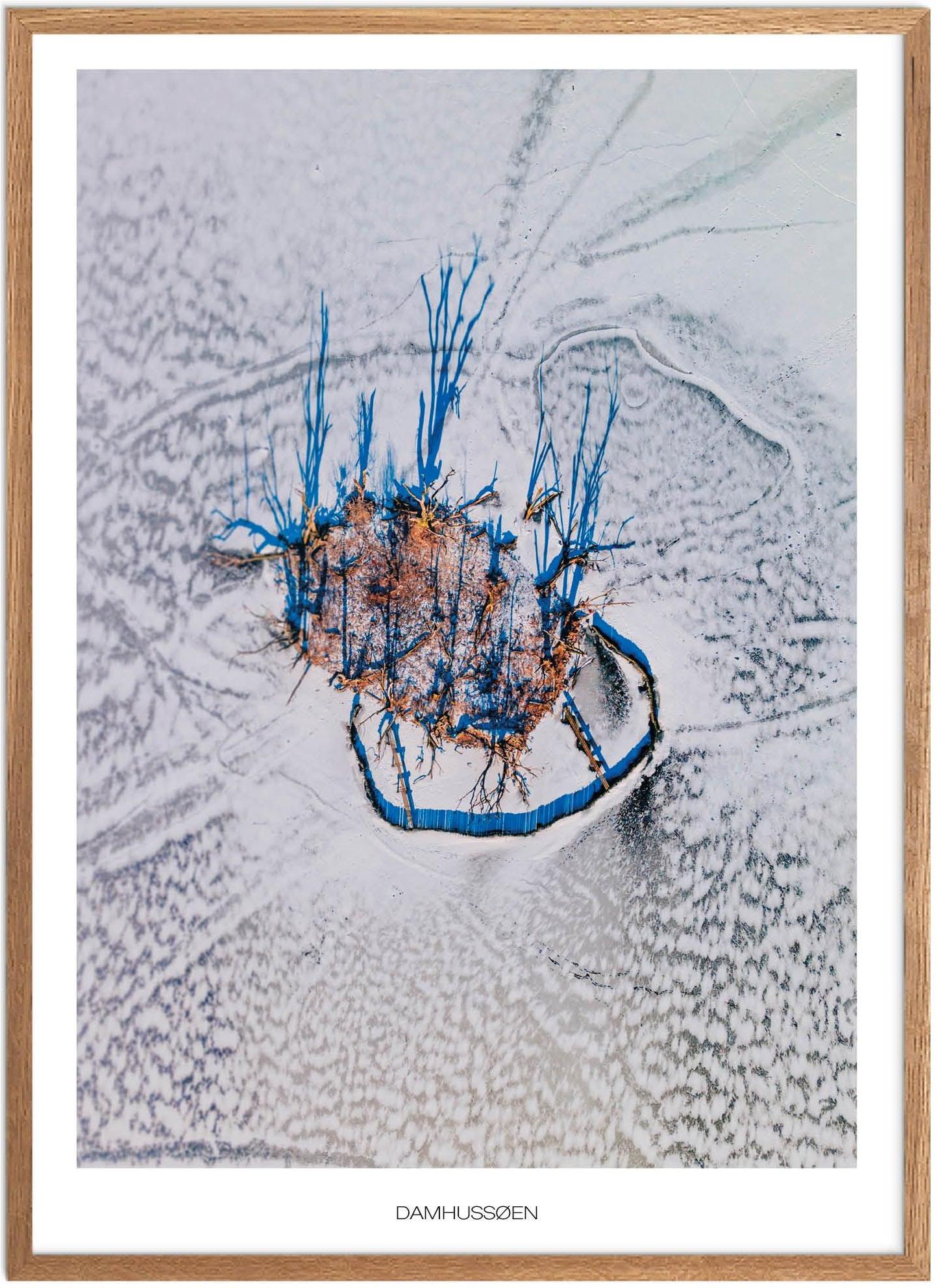 Plakat Søndermarken | Naturplakat | Bestsellers