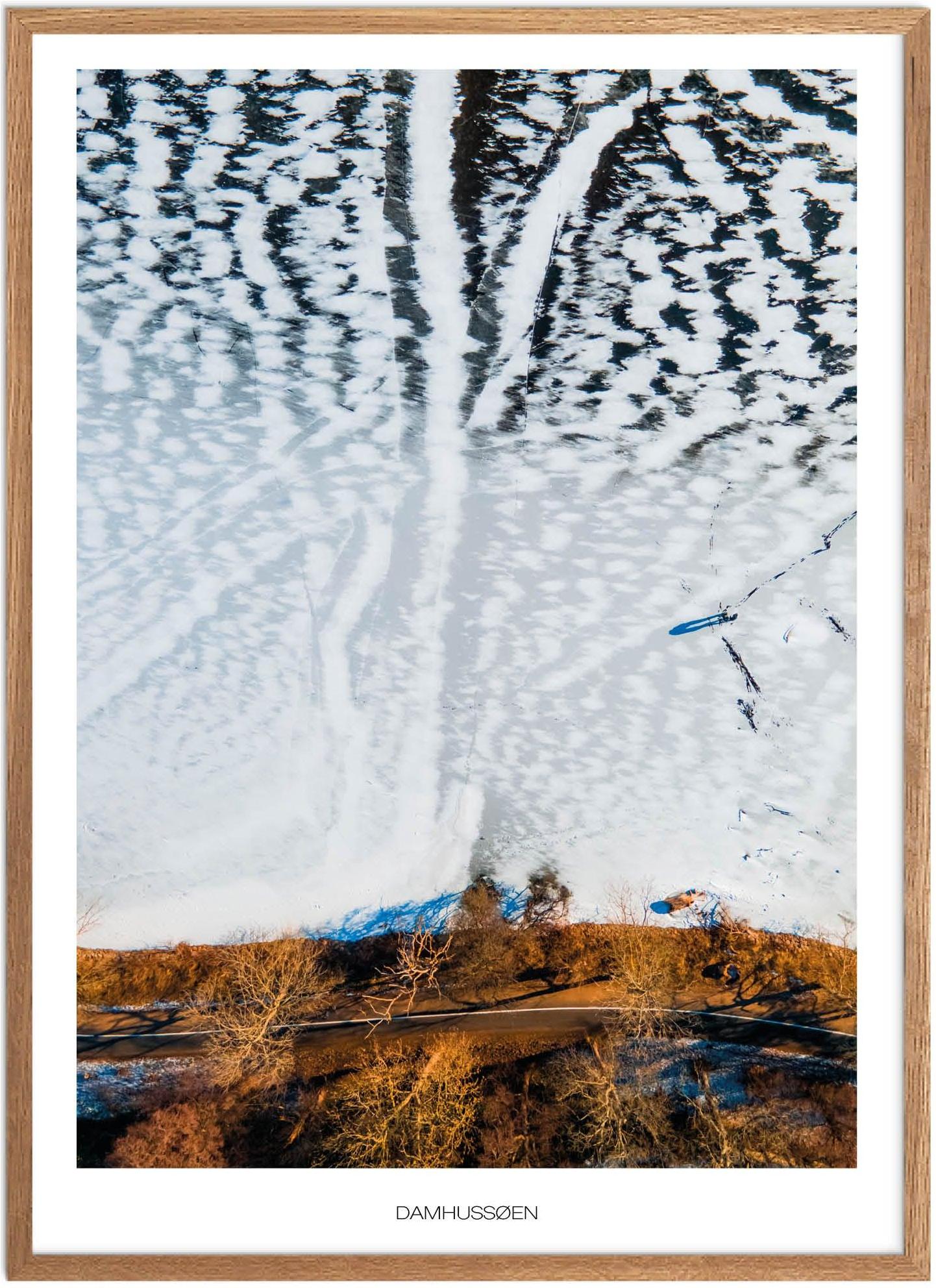 Søndermarken Plakat | Naturplakat | Bestsellers