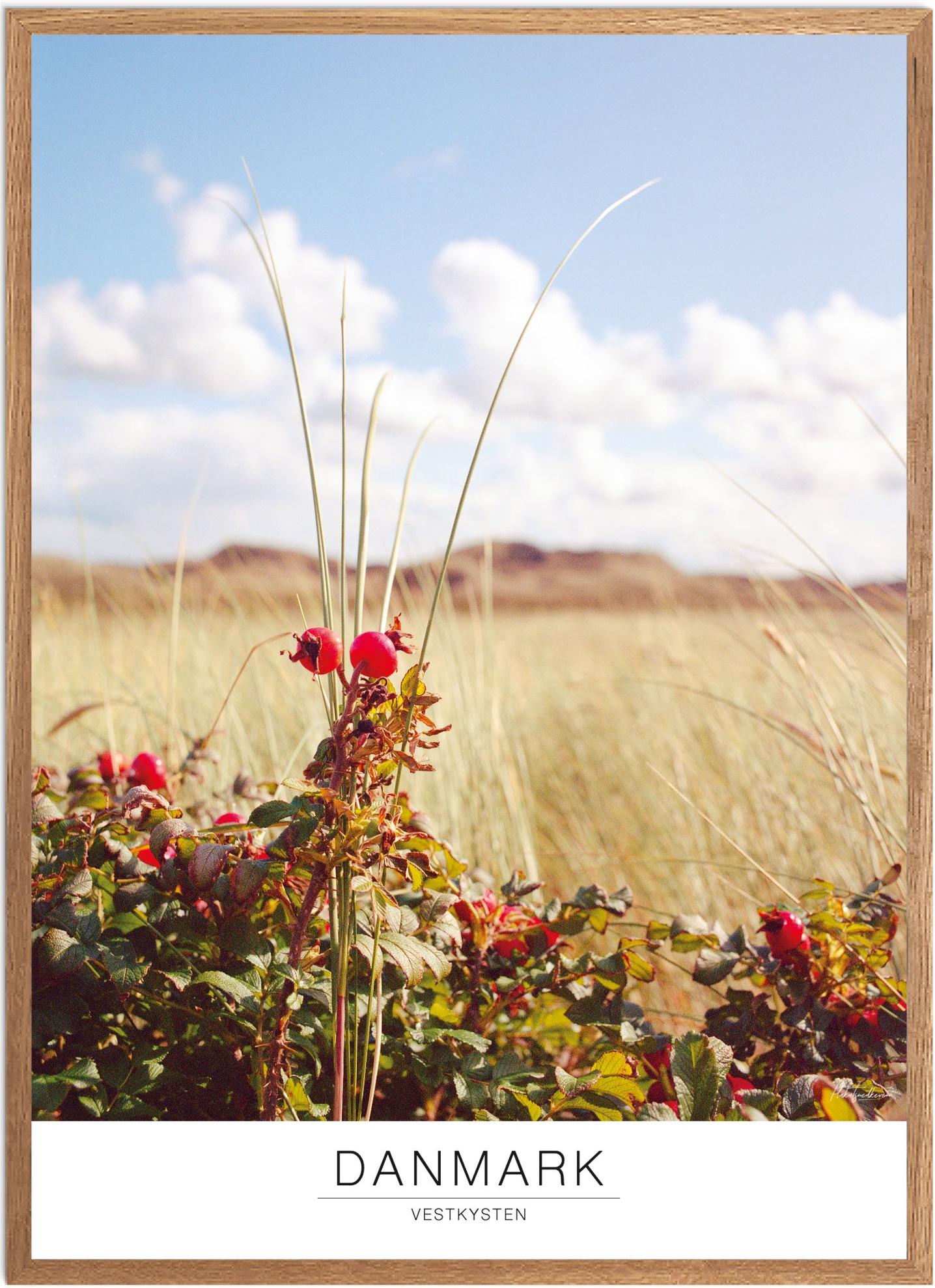 Plakat af Vestkysten | Smukt Naturmotiv