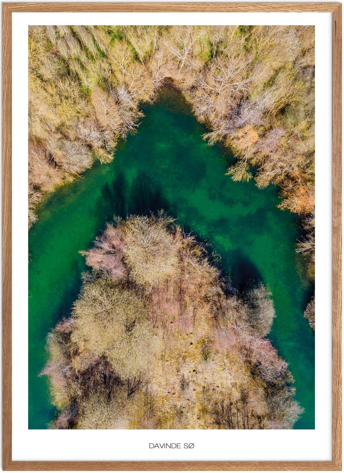 Plakat af Davinde Sø | Naturplakat fra Plakatsnedkeren