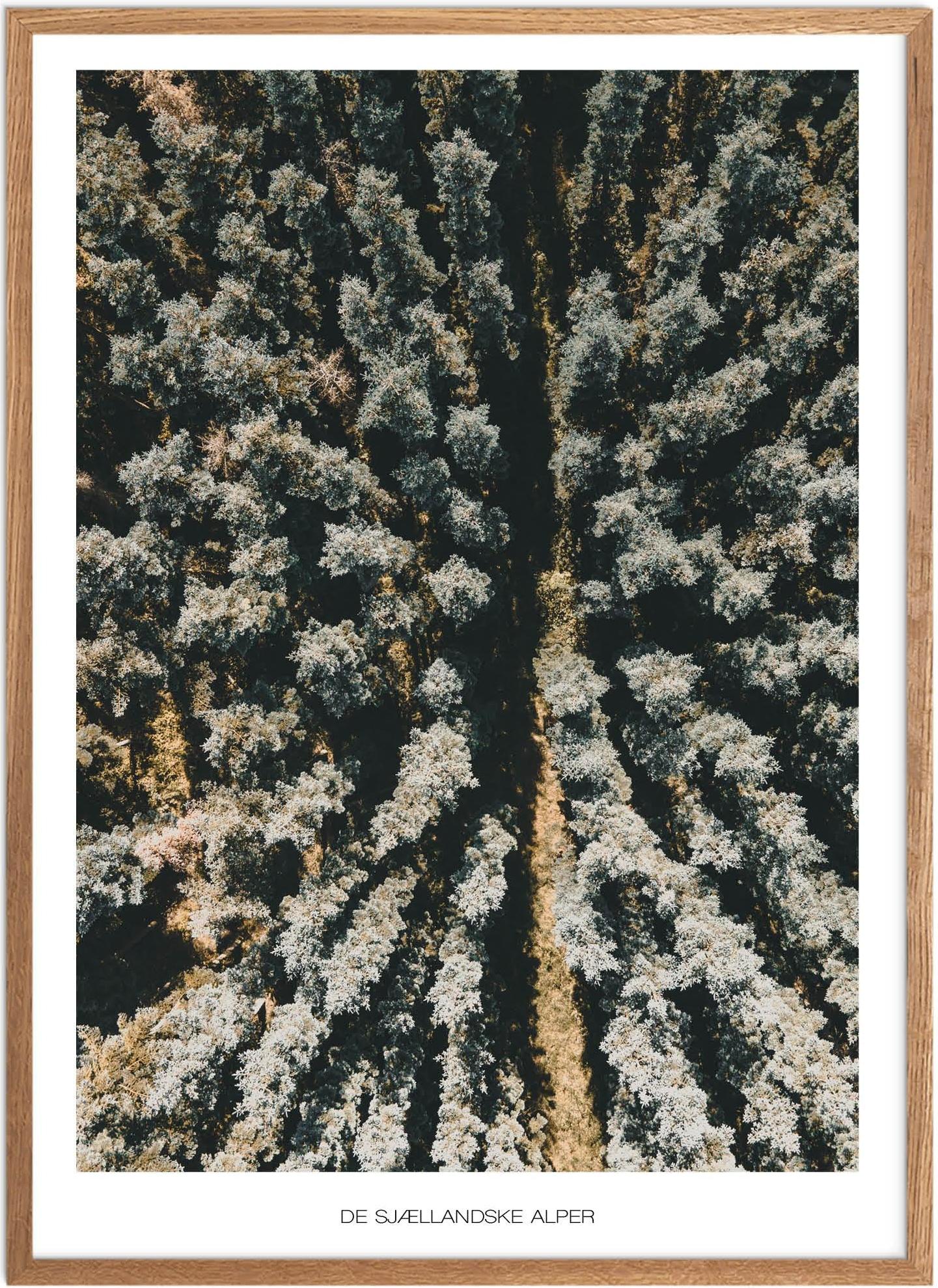 Plakat af De Sjællandske Alper | Naturplakat til hjemmet