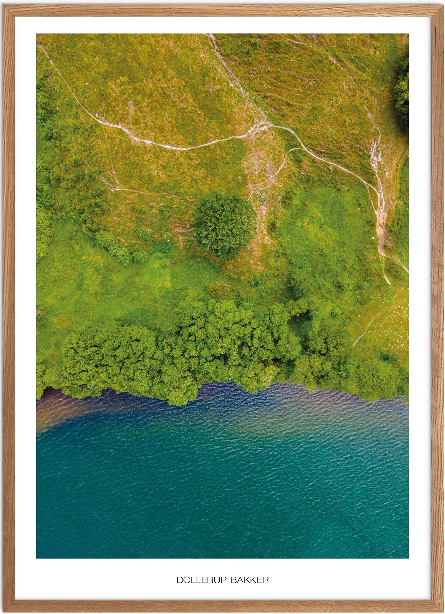 Plakat af Dollerup Bakker | Smuk naturplakat
