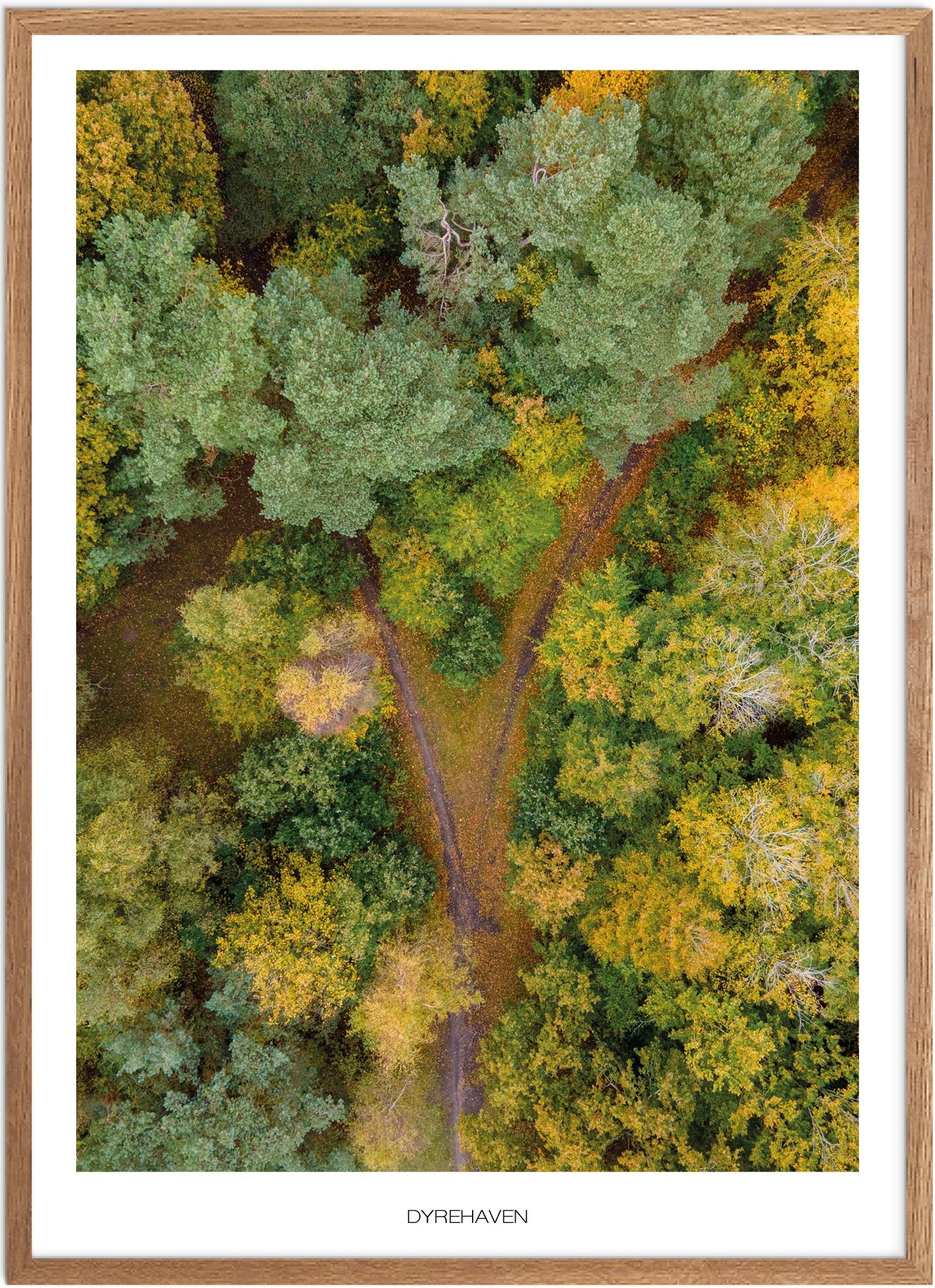 Plakat af Dyrehaven | Naturplakat fra Vestjylland