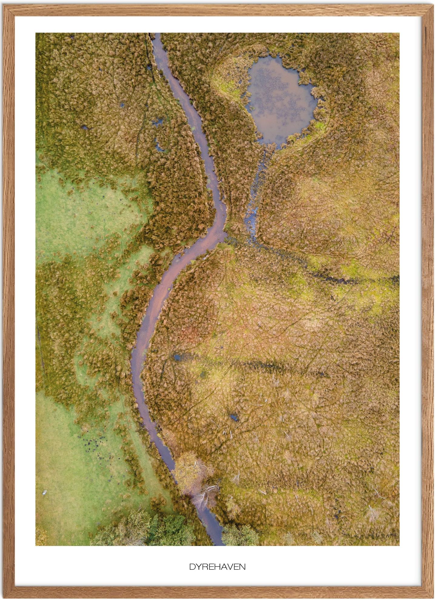 Plakat af Dyrehaven | Naturplakat fra Vestjylland