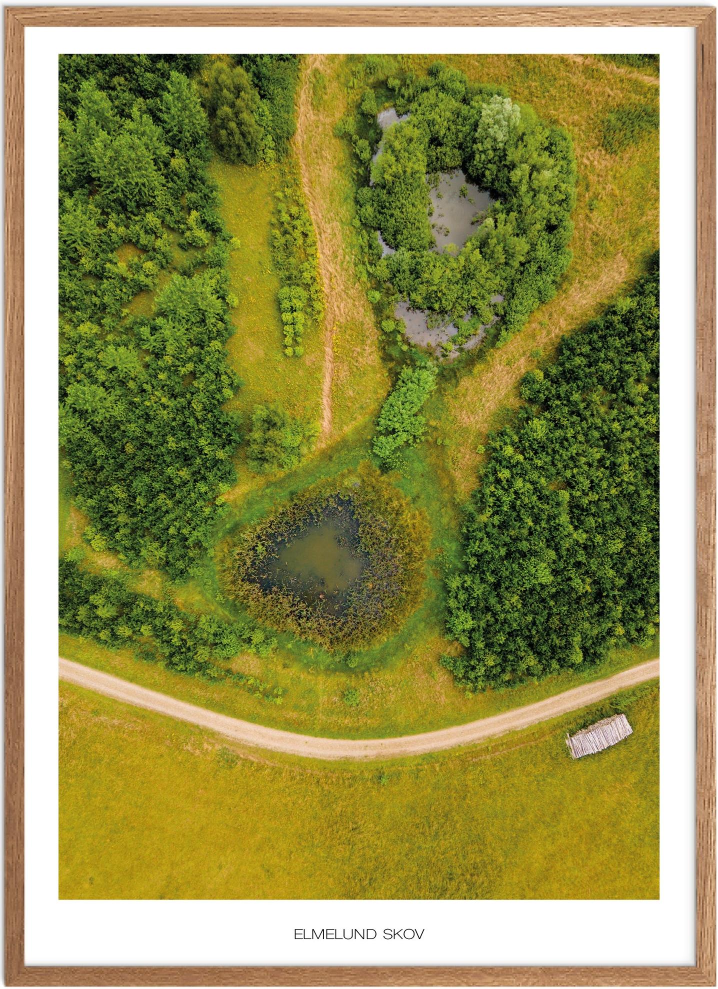 Plakat af Elmelund Skov | Naturplakat fra Fyn