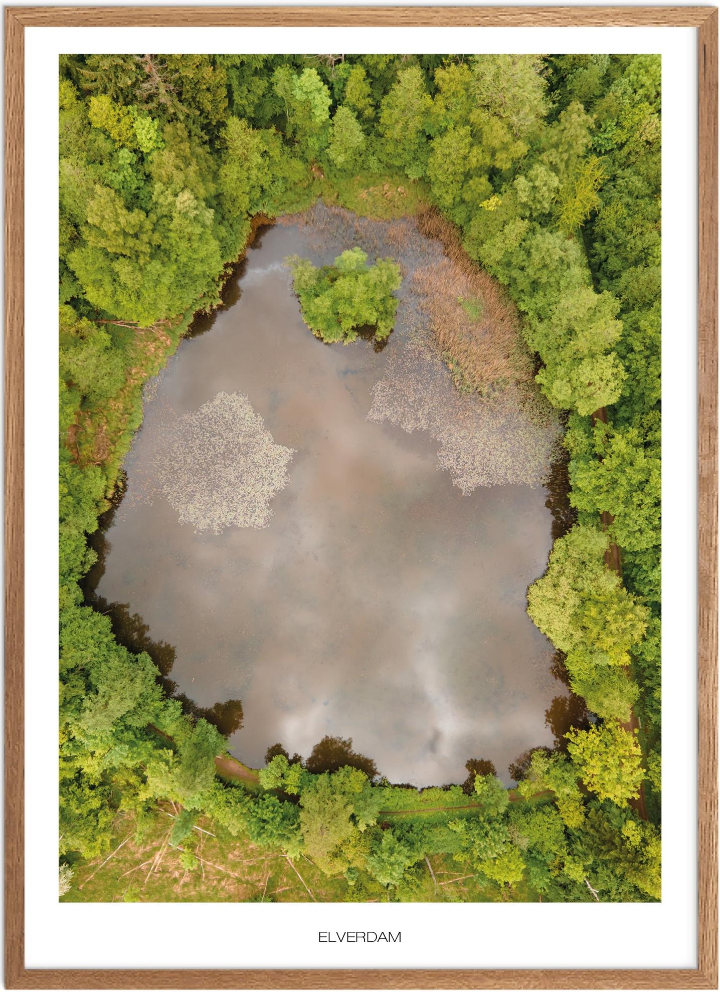 Elverdam Naturplakat – Smuk plakat fra Østjylland