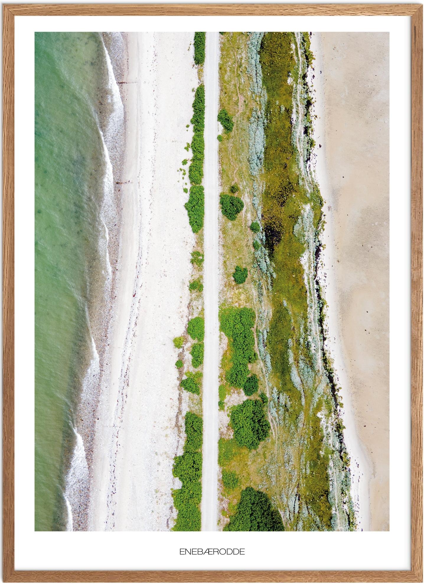 Enebærodde Naturplakat | Fyns Smukke Landskab