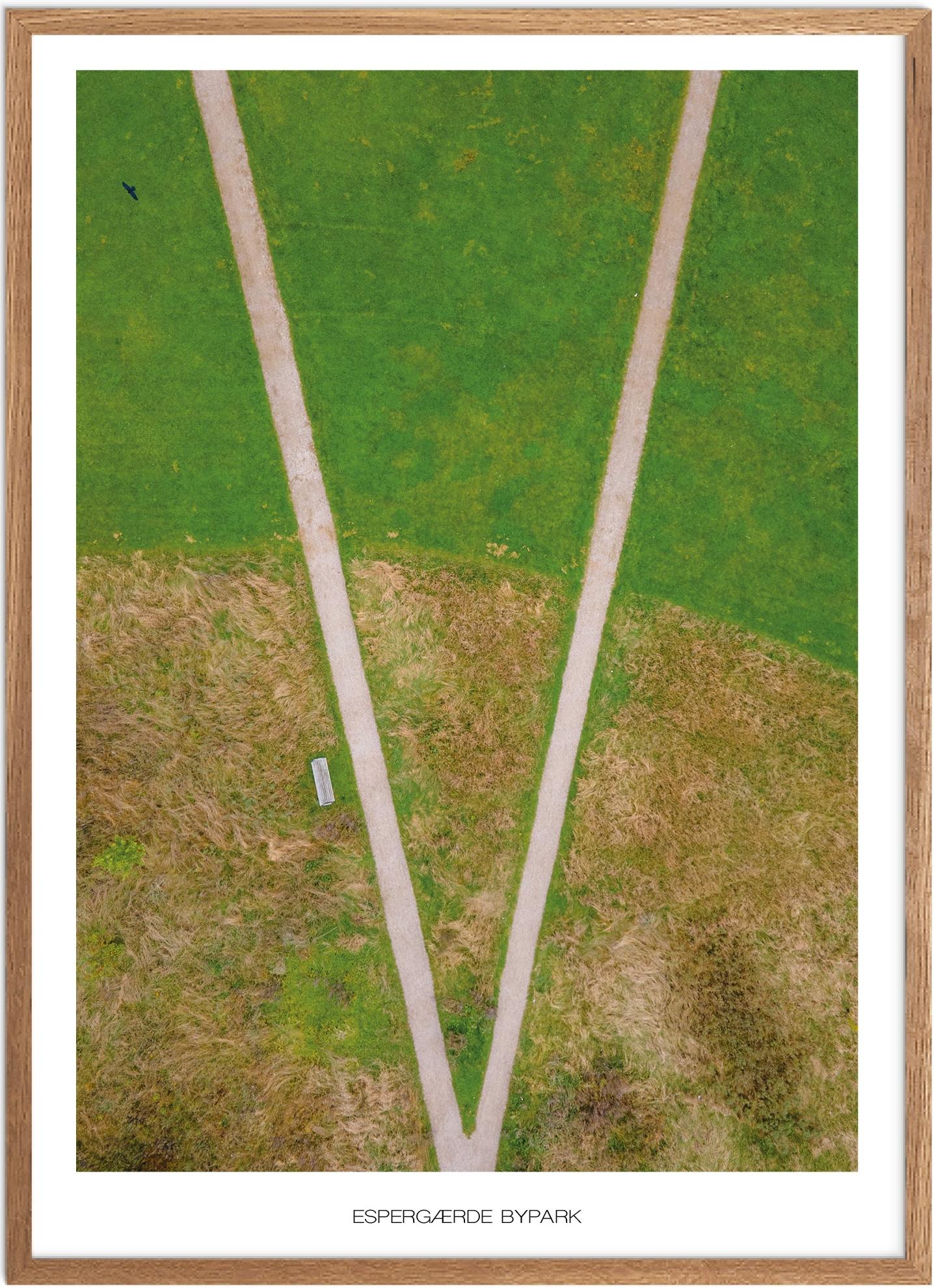 Plakat af Espergærde Bypark | Naturplakat til hjemmet