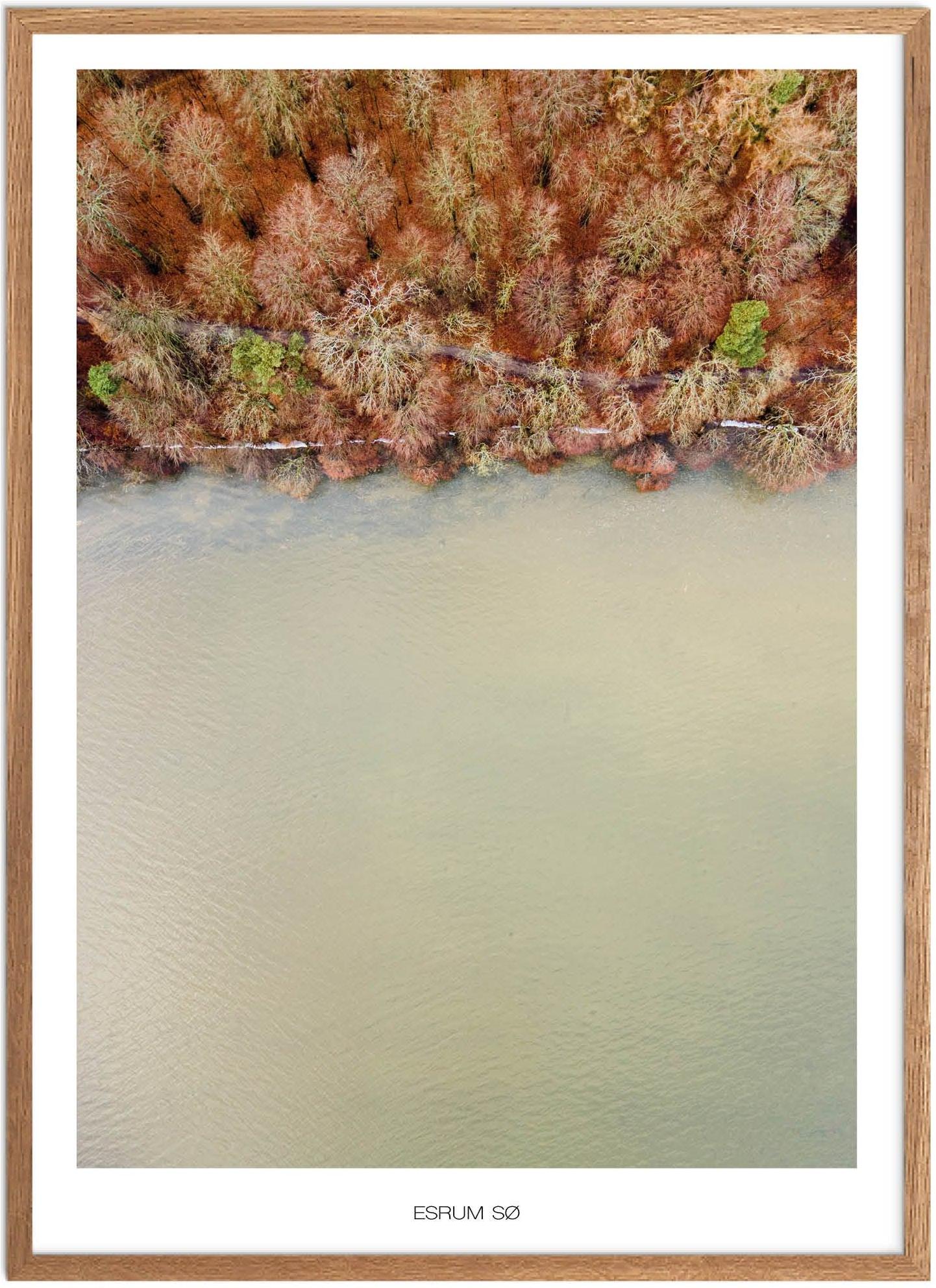 Esrum Sø Plakat | Naturplakat fra Nordsjælland