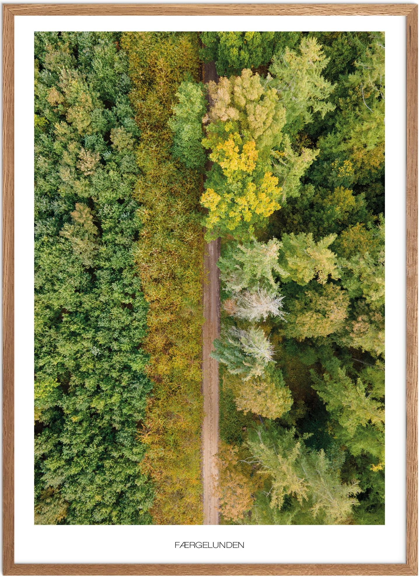 Plakat af Færgelunden | Smuk naturplakat fra Nordsjælland