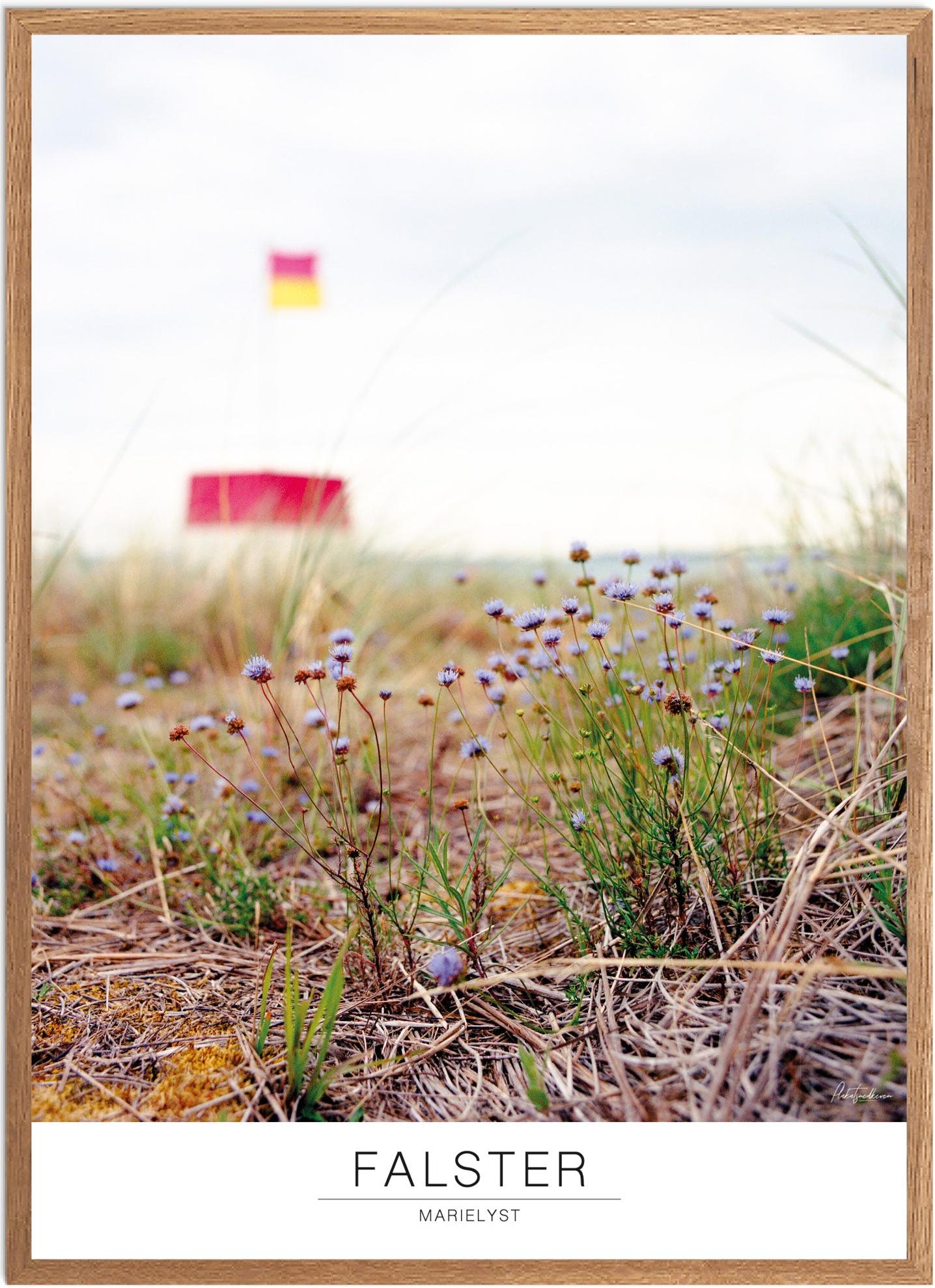 Plakat af Marielyst Strand | Naturplakat i høj kvalitet