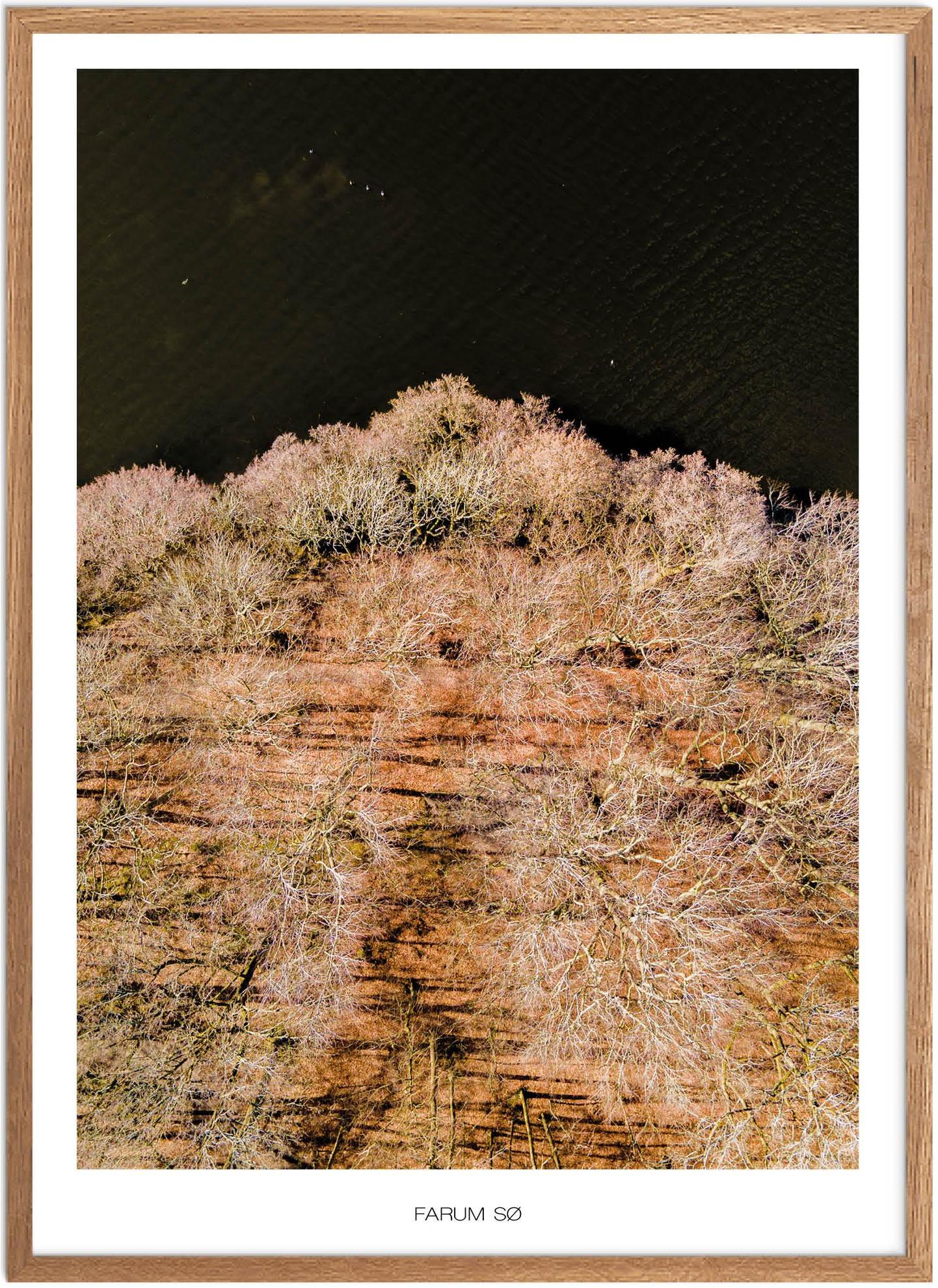Plakat af Farum Sø | Naturplakat fra Nordsjælland