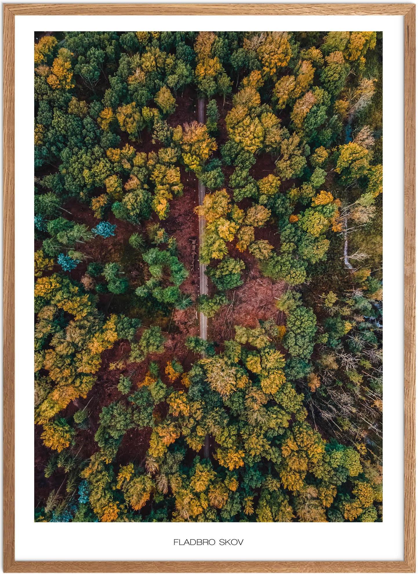 Fladbro Skov Plakat - Naturplakat fra Plakatsnedkeren