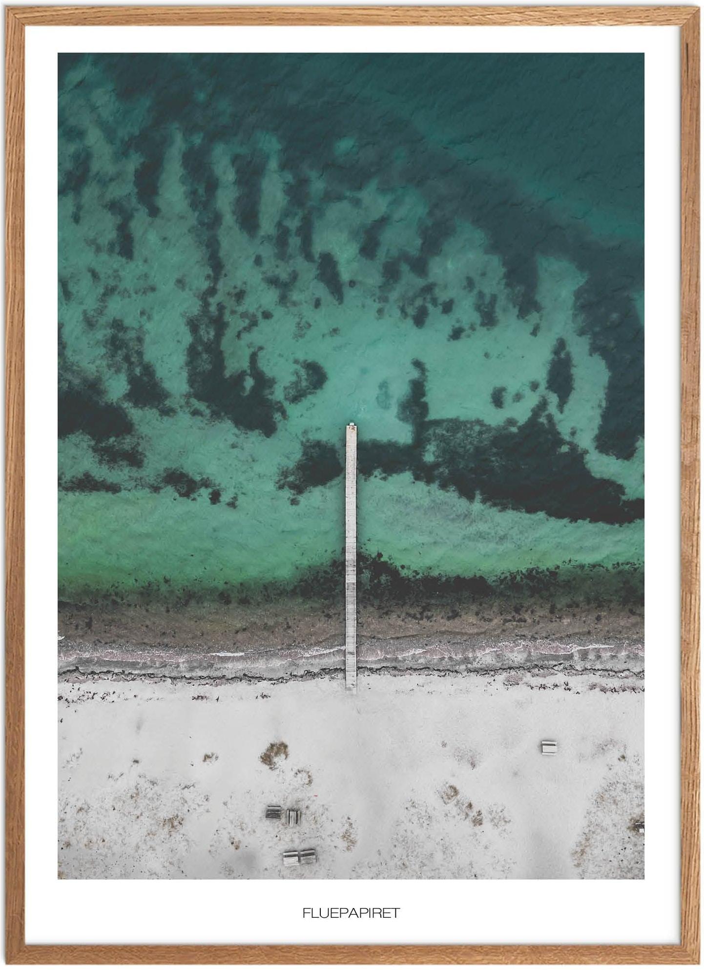 Plakat af Fluepapiret | Naturplakat fra Sydjylland