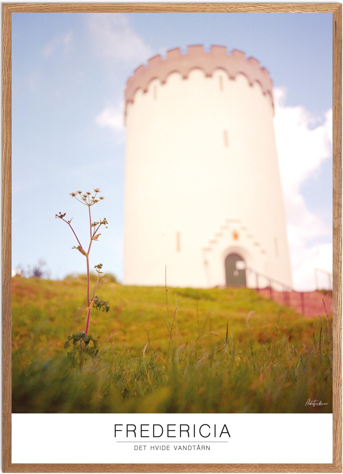 Fredericia Naturplakat - Tidløs Kunst til Dit Hjem