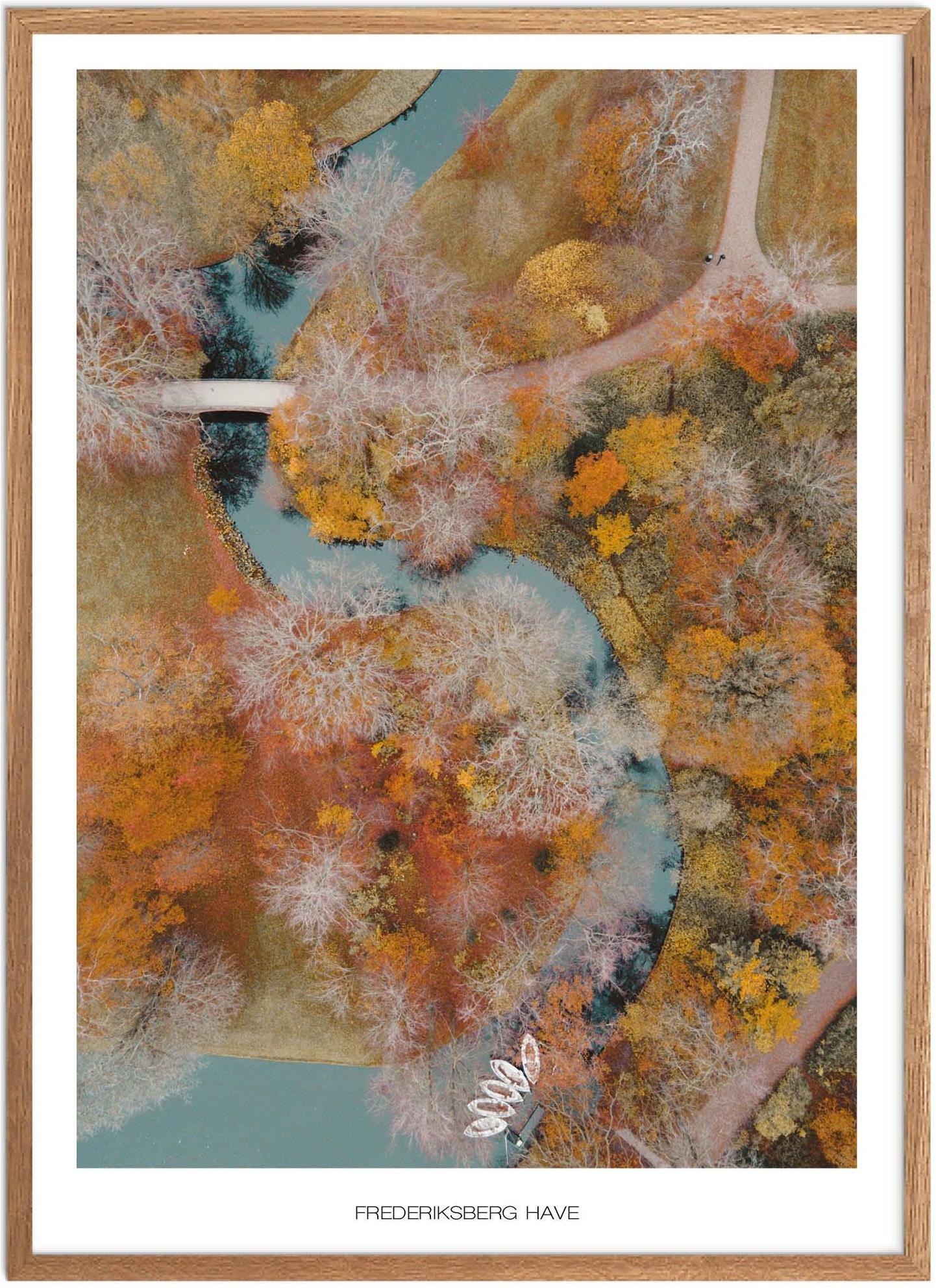 Plakat af Frederiksberg Have | Naturplakat fra København