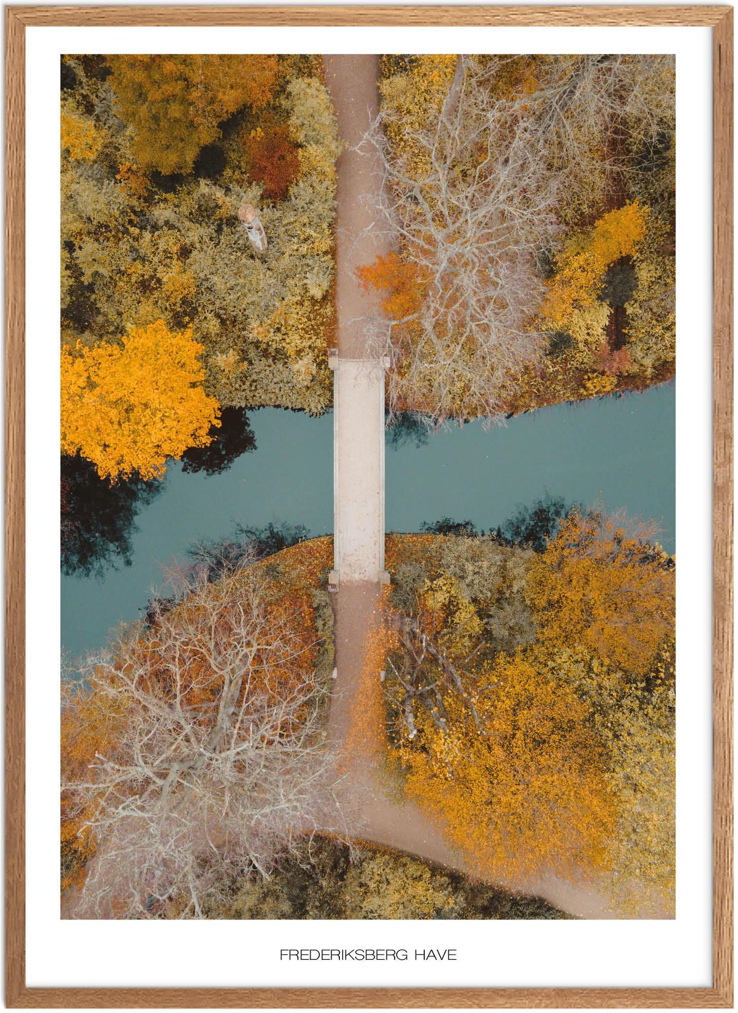 Plakat af Frederiksberg Have | Naturplakat fra København