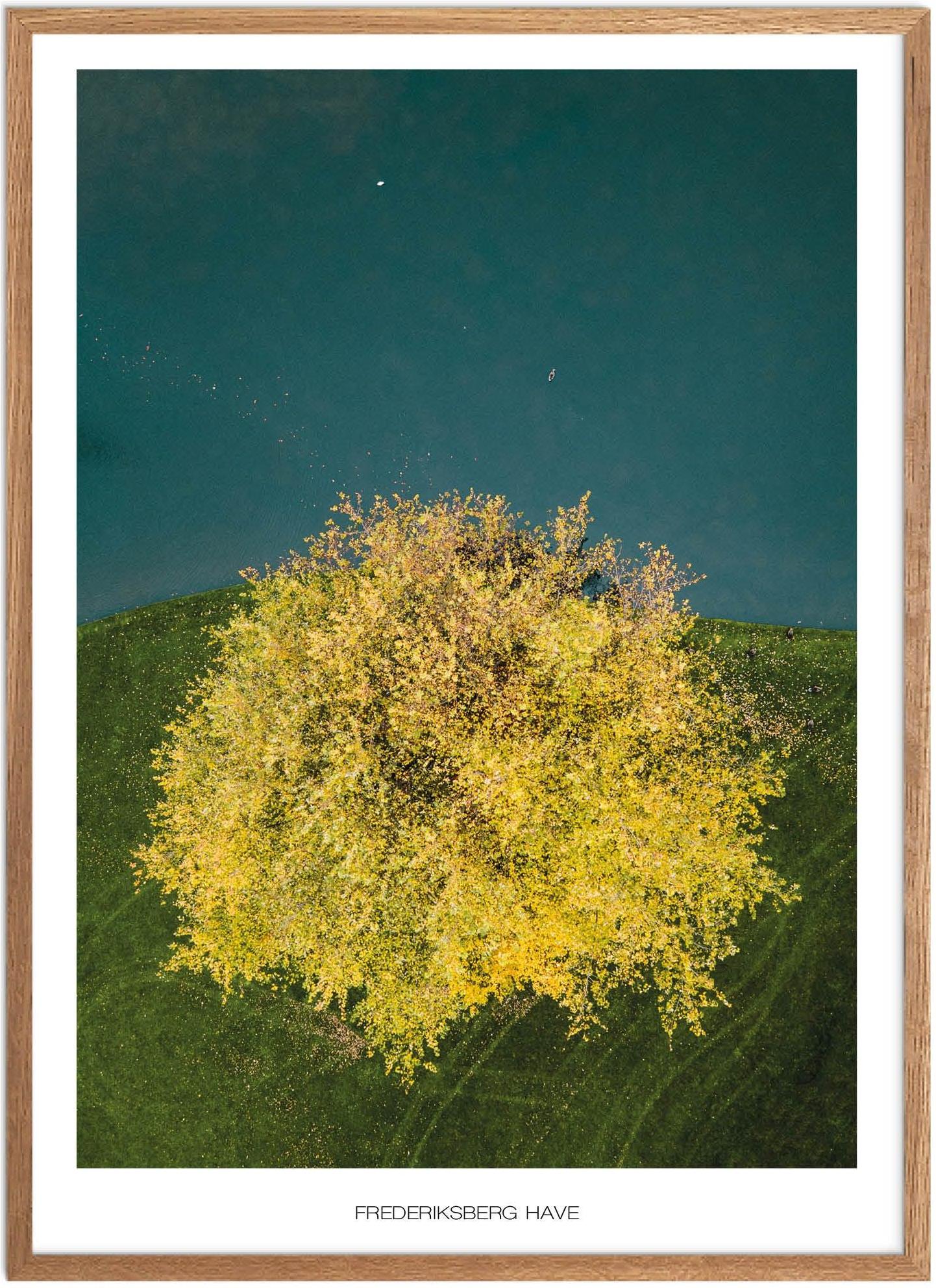 Plakat af Frederiksberg Have | Naturplakat til hjemmet