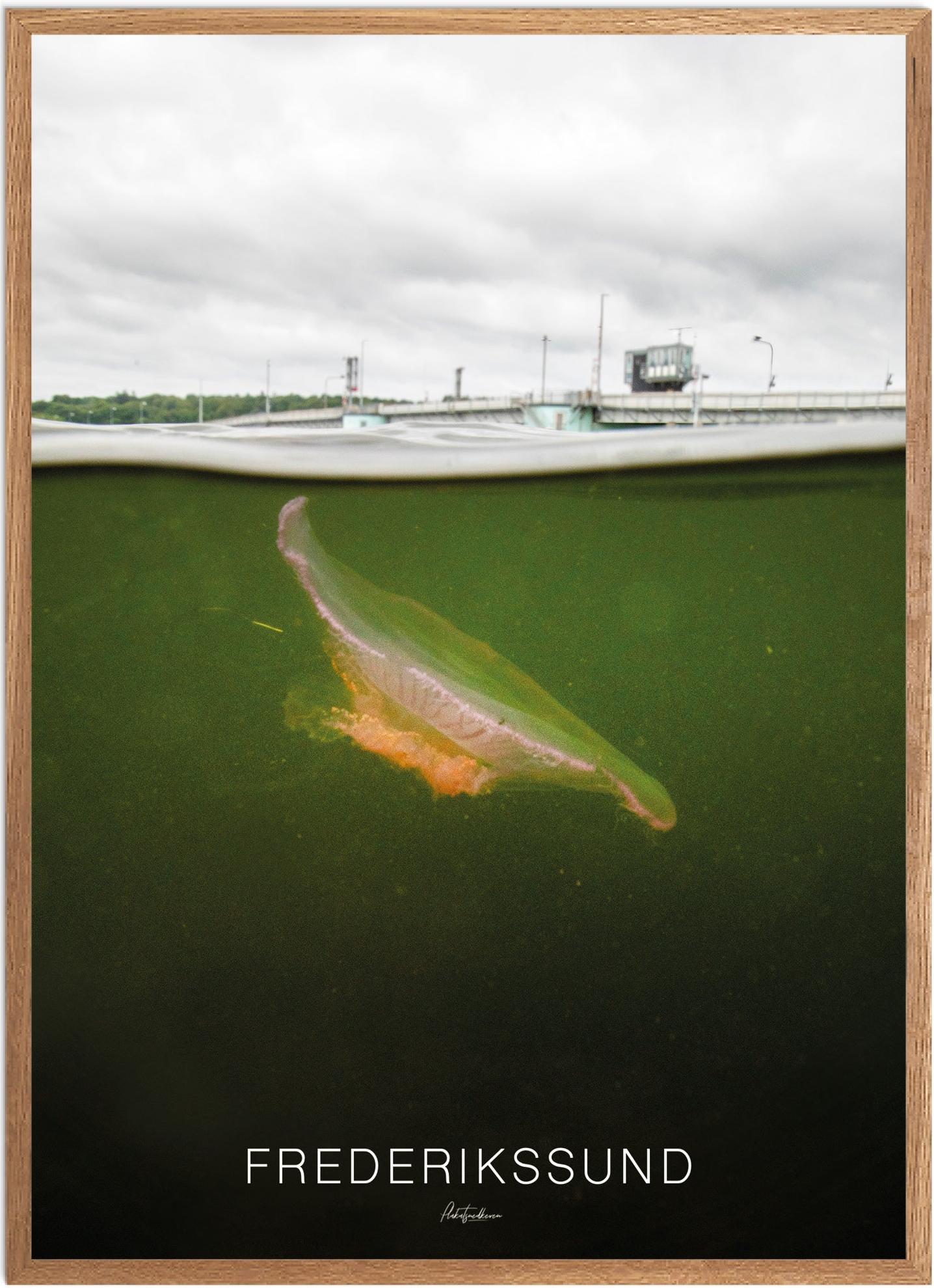 Plakat af Frederikssund | Naturplakat til hjemmet