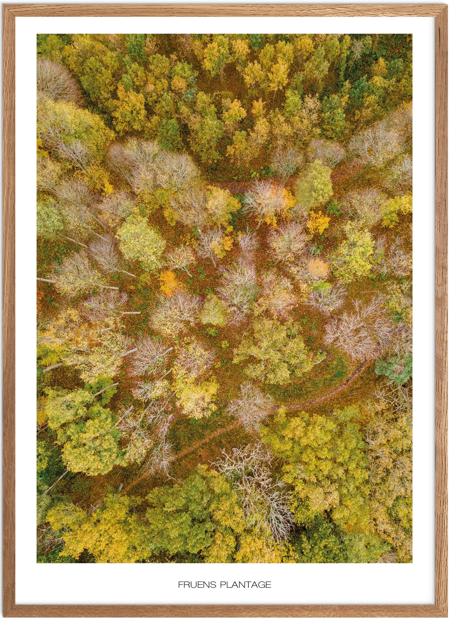 Plakat af Fruens Plantage - Naturplakat til hjemmet