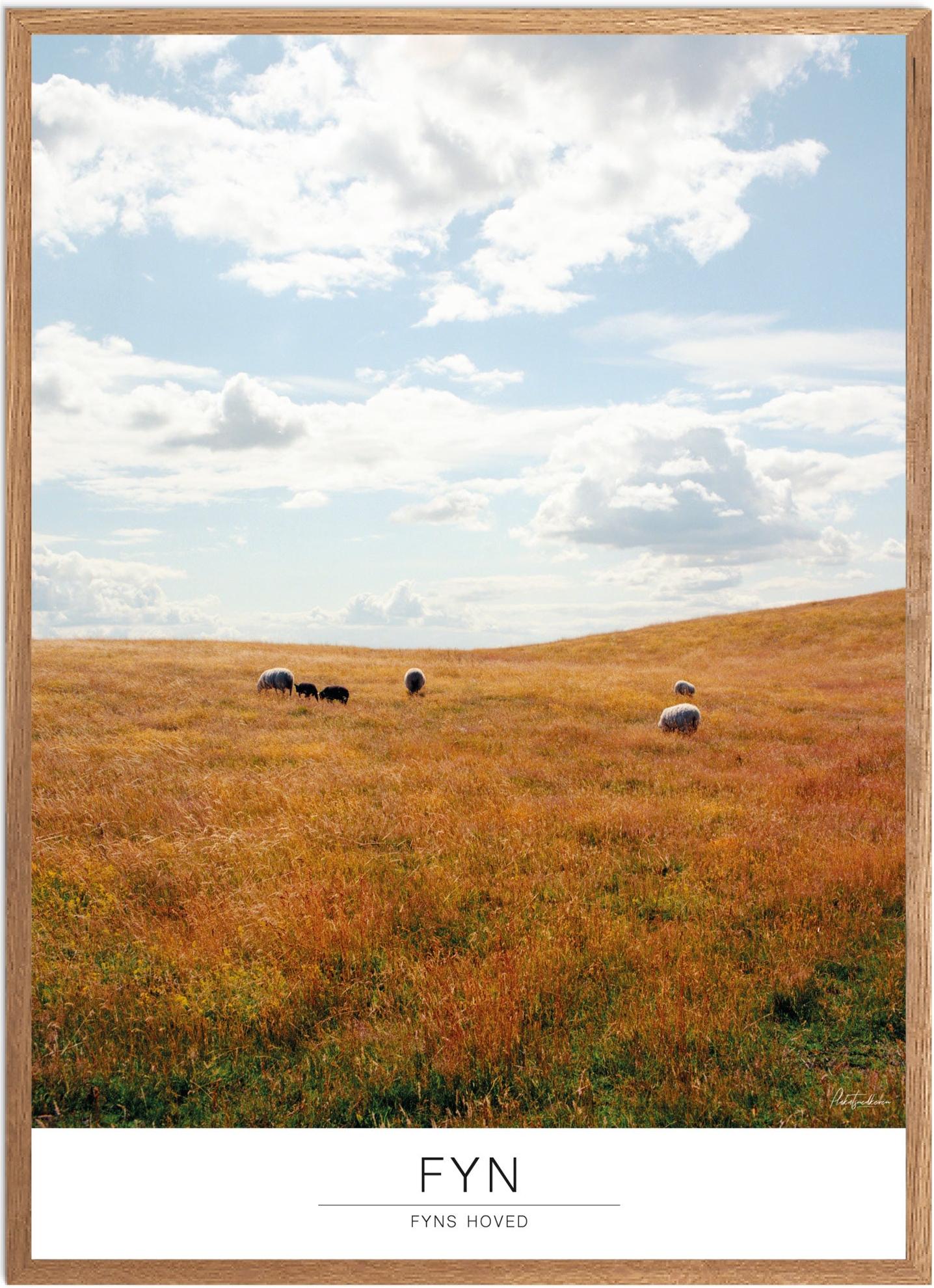 Plakat af Fyns Hoved | Smuk Naturplakat til Dit Hjem