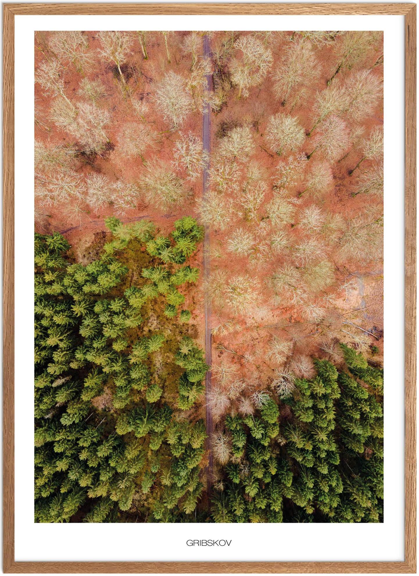 Furesø Plakat | Naturplakat fra Nordsjælland | Plakatsnedkeren