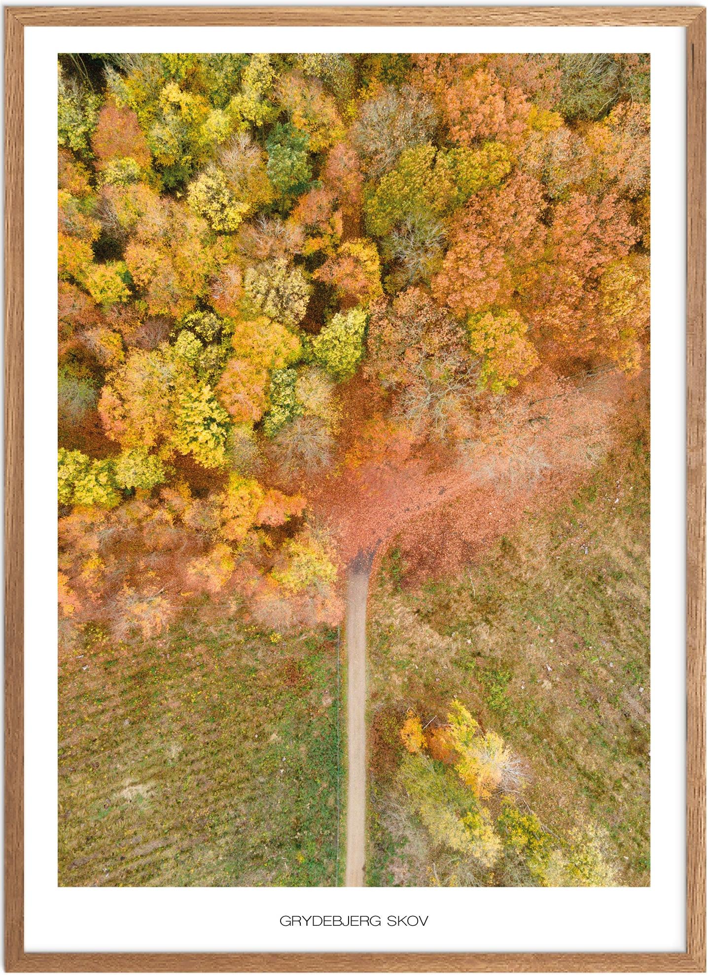 Plakat af Grydebjerg Skov | Naturplakat til dit hjem