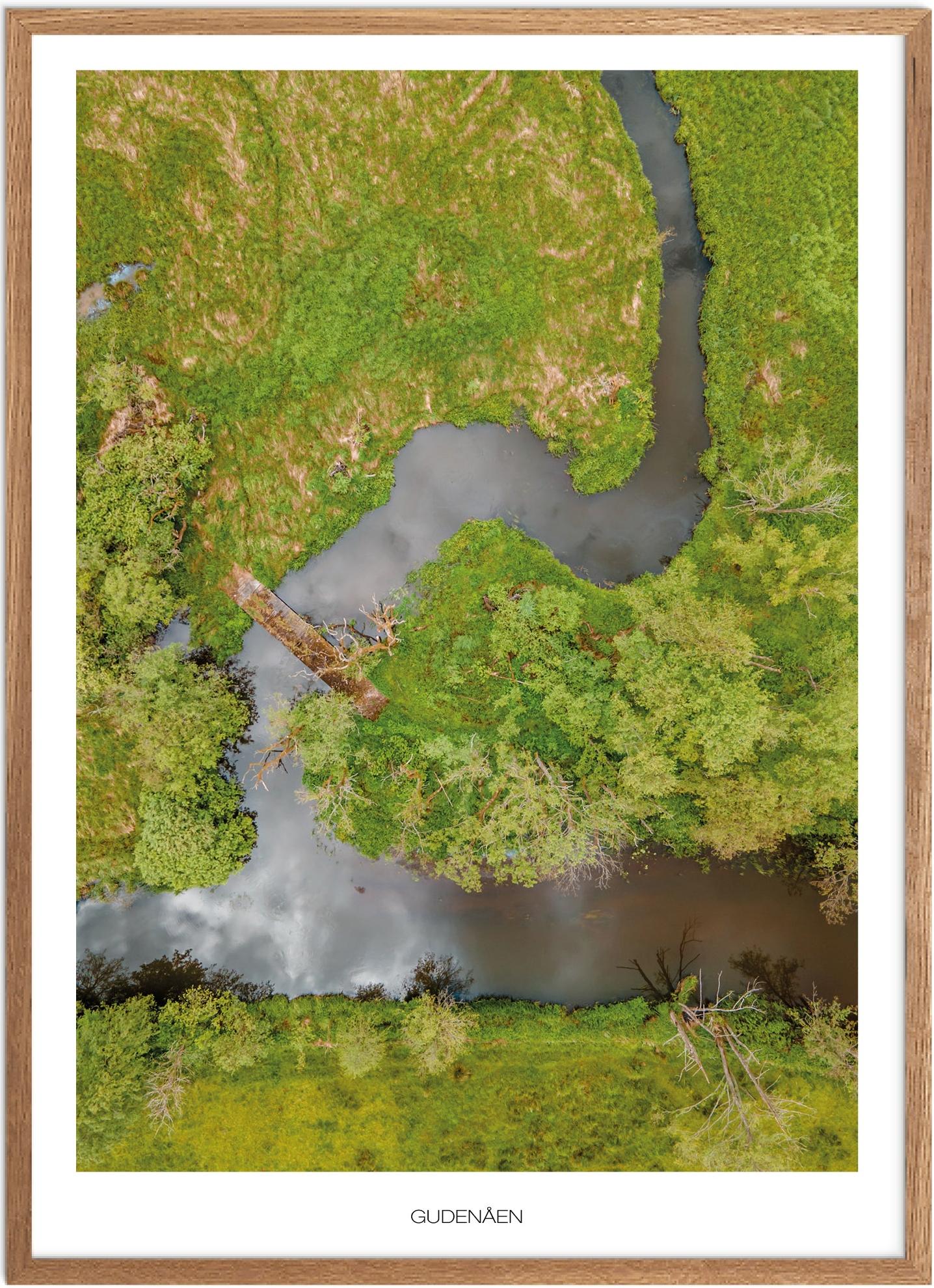 Plakat af Gudenåen | Smuk Naturplakat fra Vestjylland