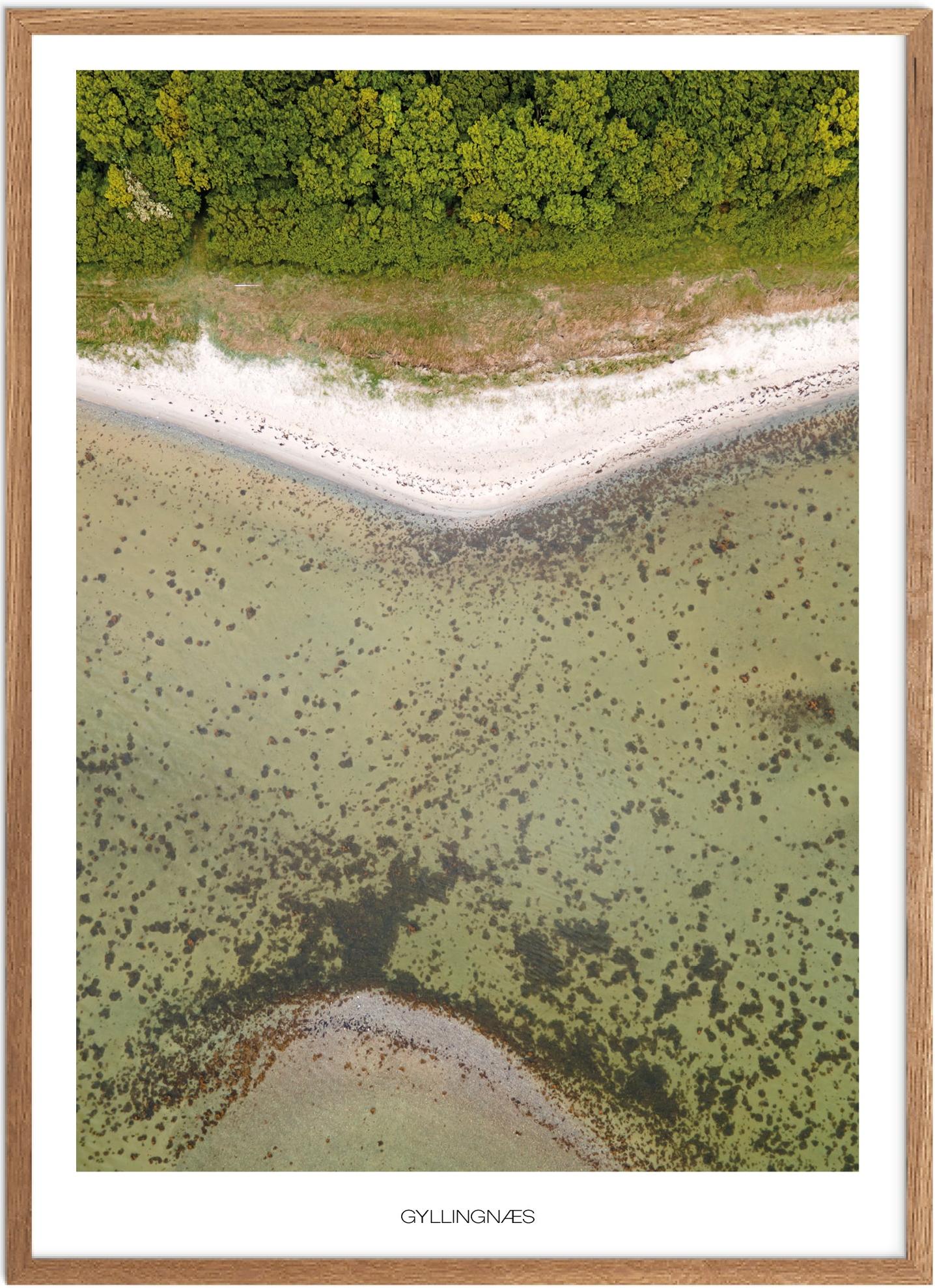 Gyllingnæs Naturplakat | Østjylland | Drone Plakat