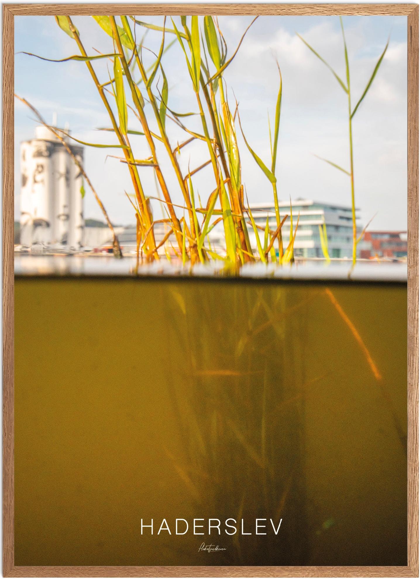 Plakat af Haderslev - Naturplakat med kulturhistorie