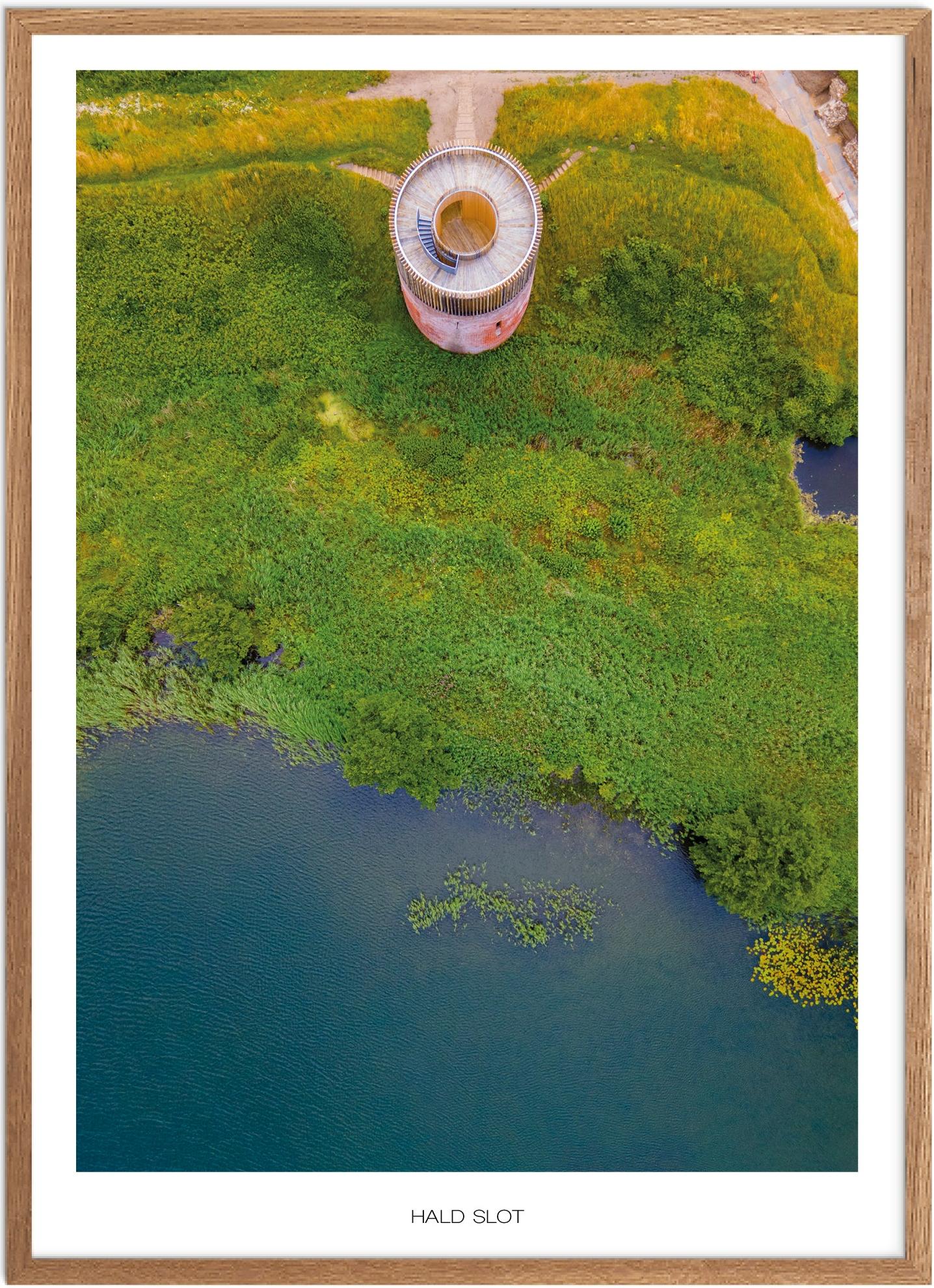 Plakat af Hald Slot | Naturplakat med smuk udsigt