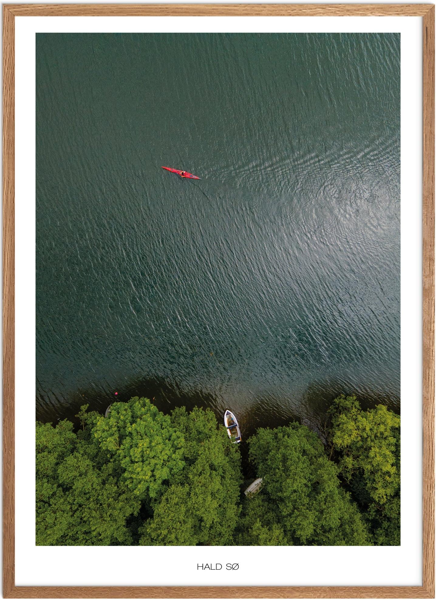 Plakat af Hald Sø | Smuk Naturplakat til Dit Hjem