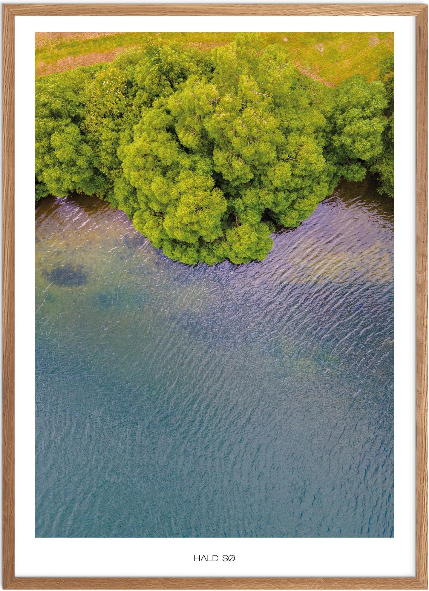 Plakat af Hald Sø | Smuk Naturplakat til Dit Hjem