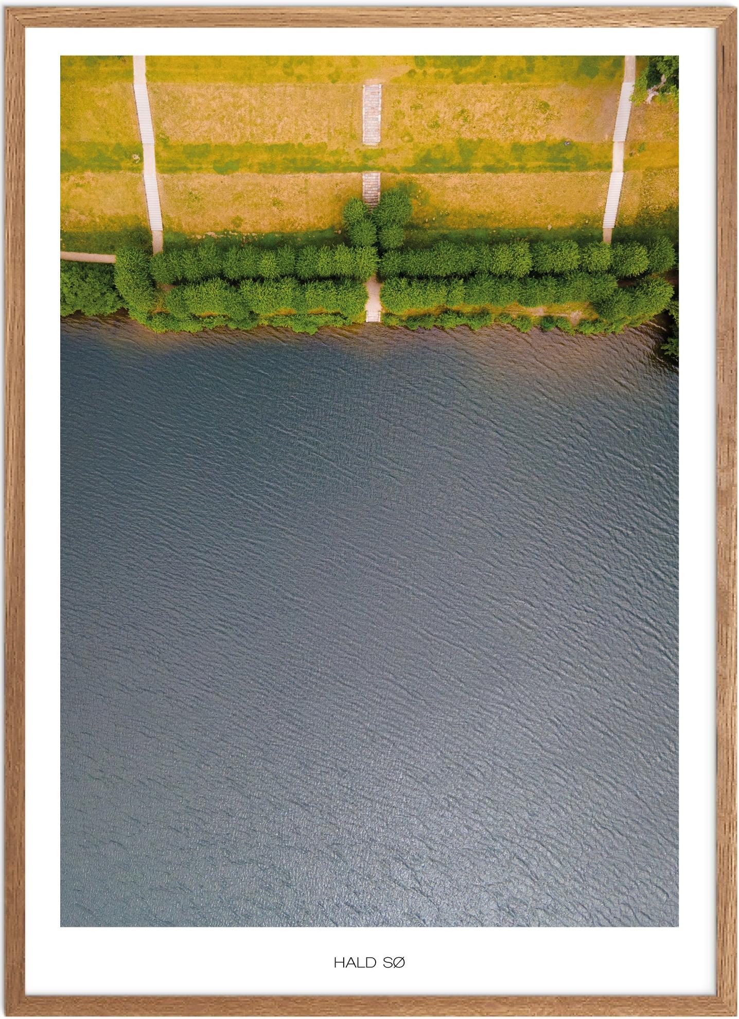 Hald Sø Plakat | Smuk Naturplakat fra Plakatsnedkeren