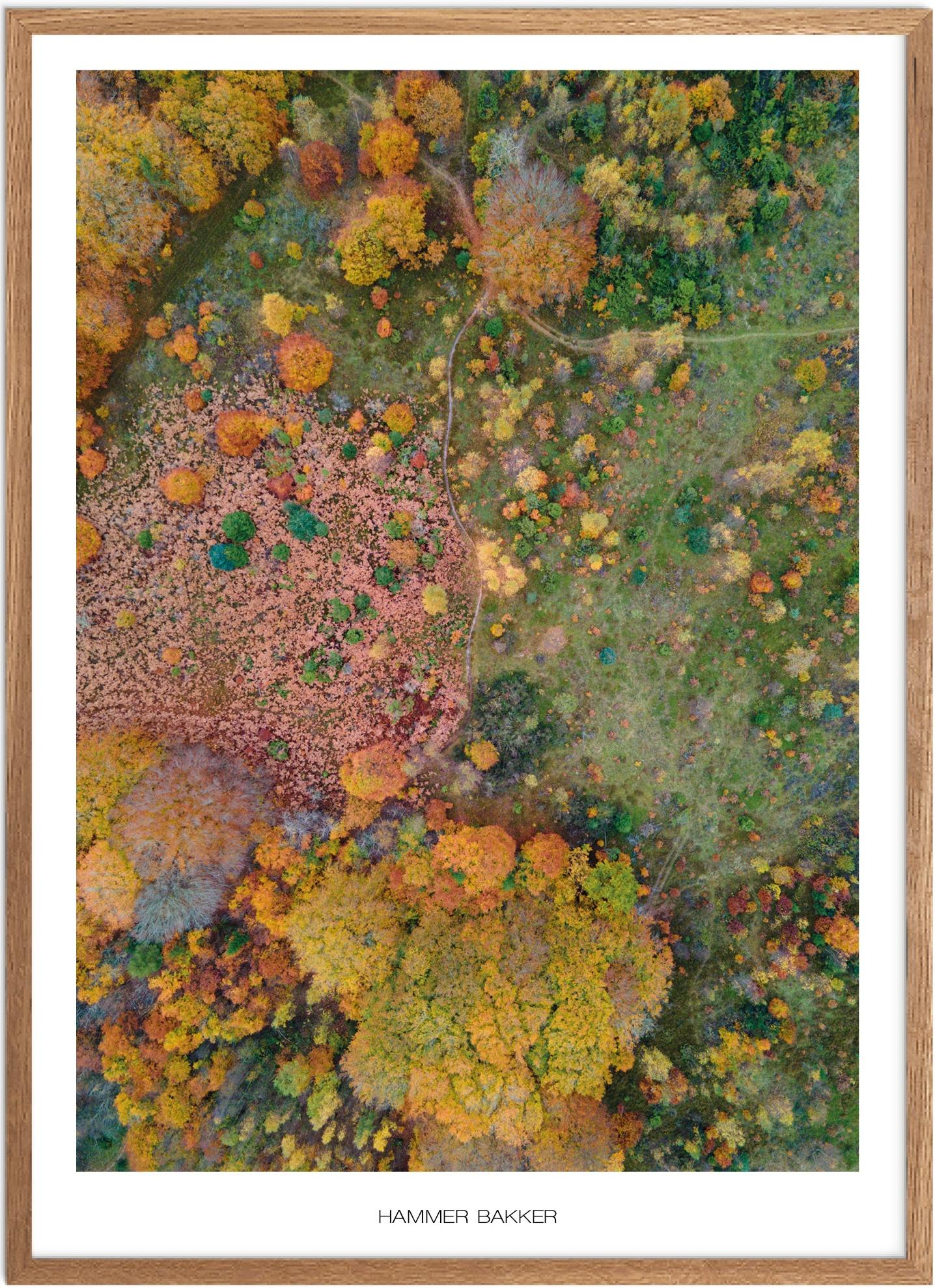 Plakat af Hammer Bakker | Smuk Naturplakat fra Nordjylland