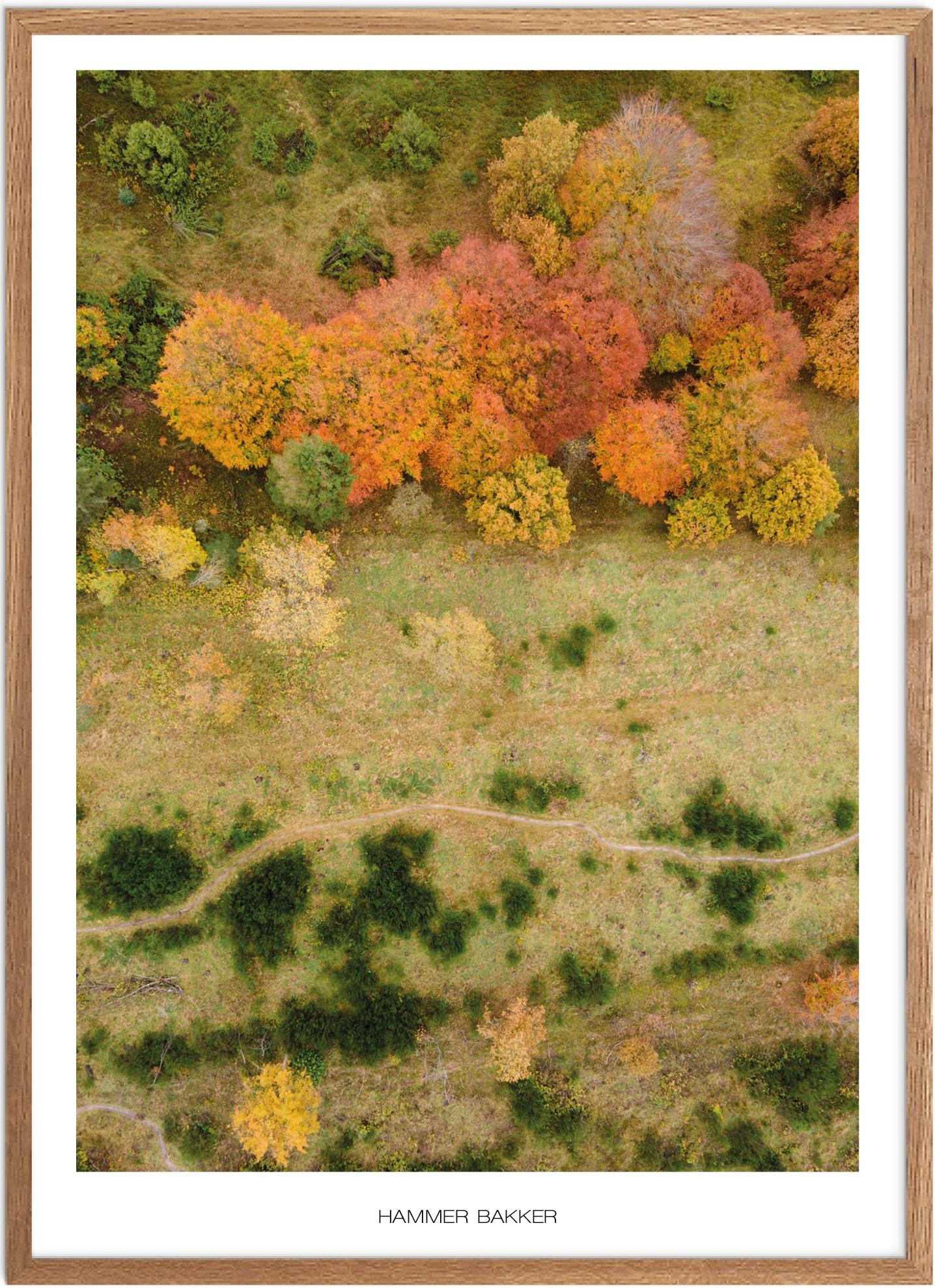 Plakat af Hammer Bakker | Naturplakat fra Nordjylland