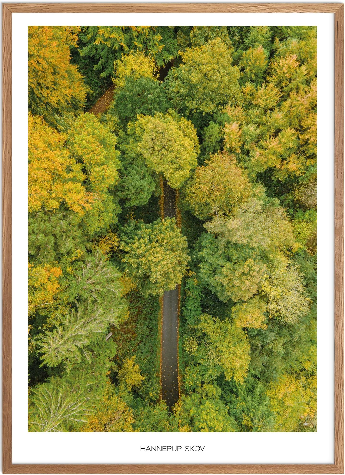 Plakat af Hannerup Skov - Naturplakat fra Sydjylland