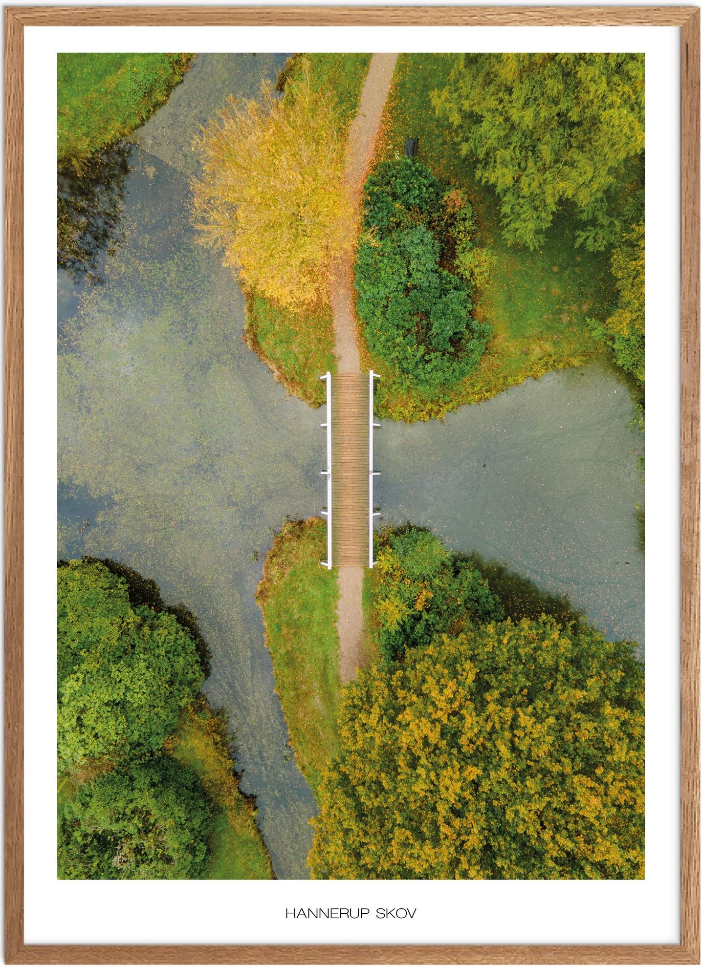 Plakat af Hannerup Skov | Naturplakat fra Sydjylland