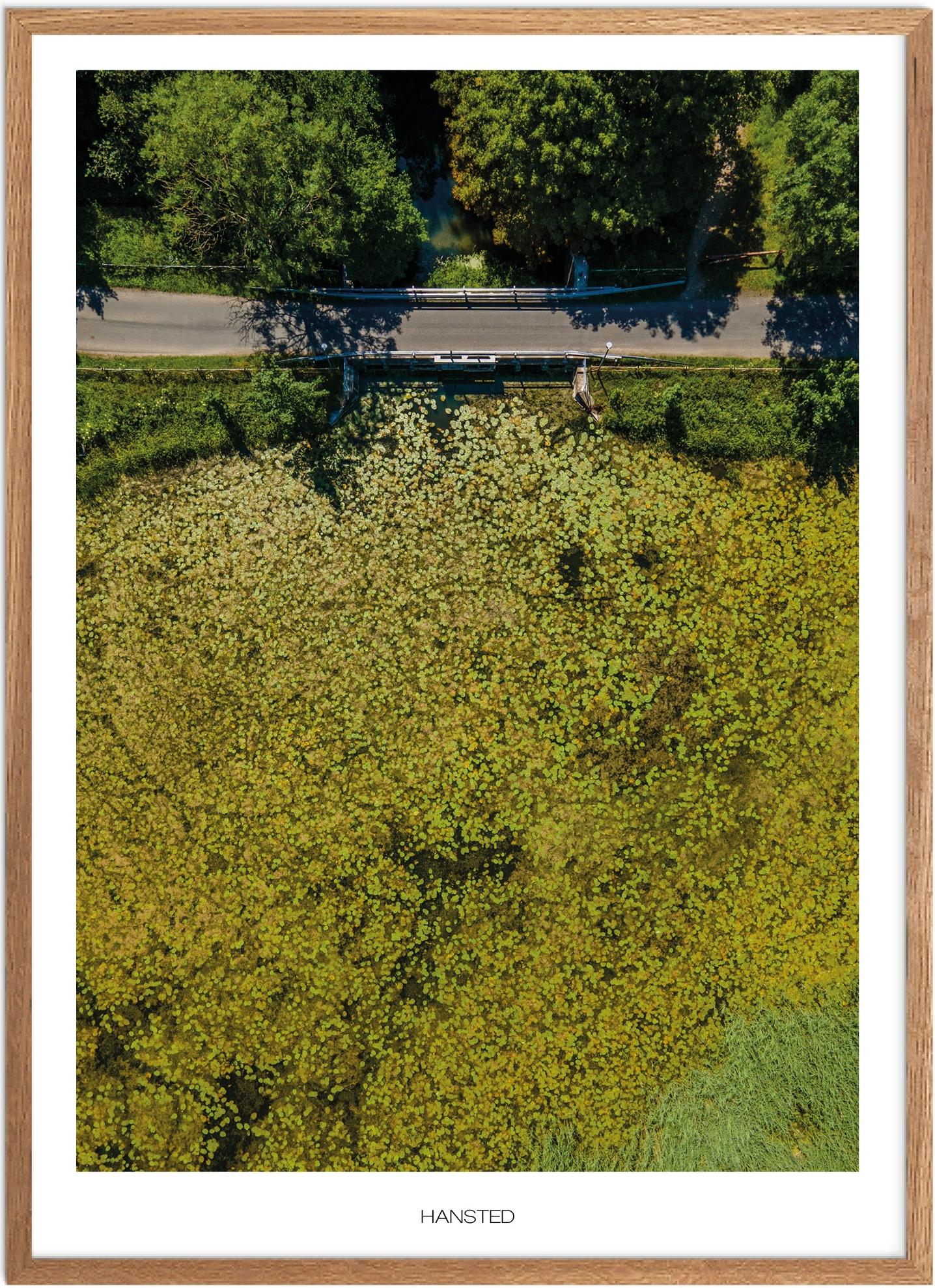 Plakat af Hansted | Naturmotiv fra Østjylland