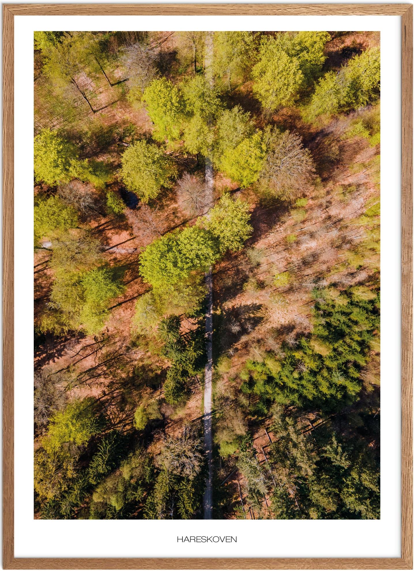 Naturplakat af Hareskoven – Nordsjællands skønhed