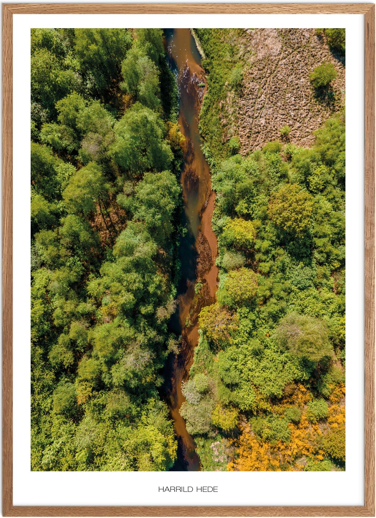 Harrild Hede Plakat | Smuk Naturplakat til Dit Hjem